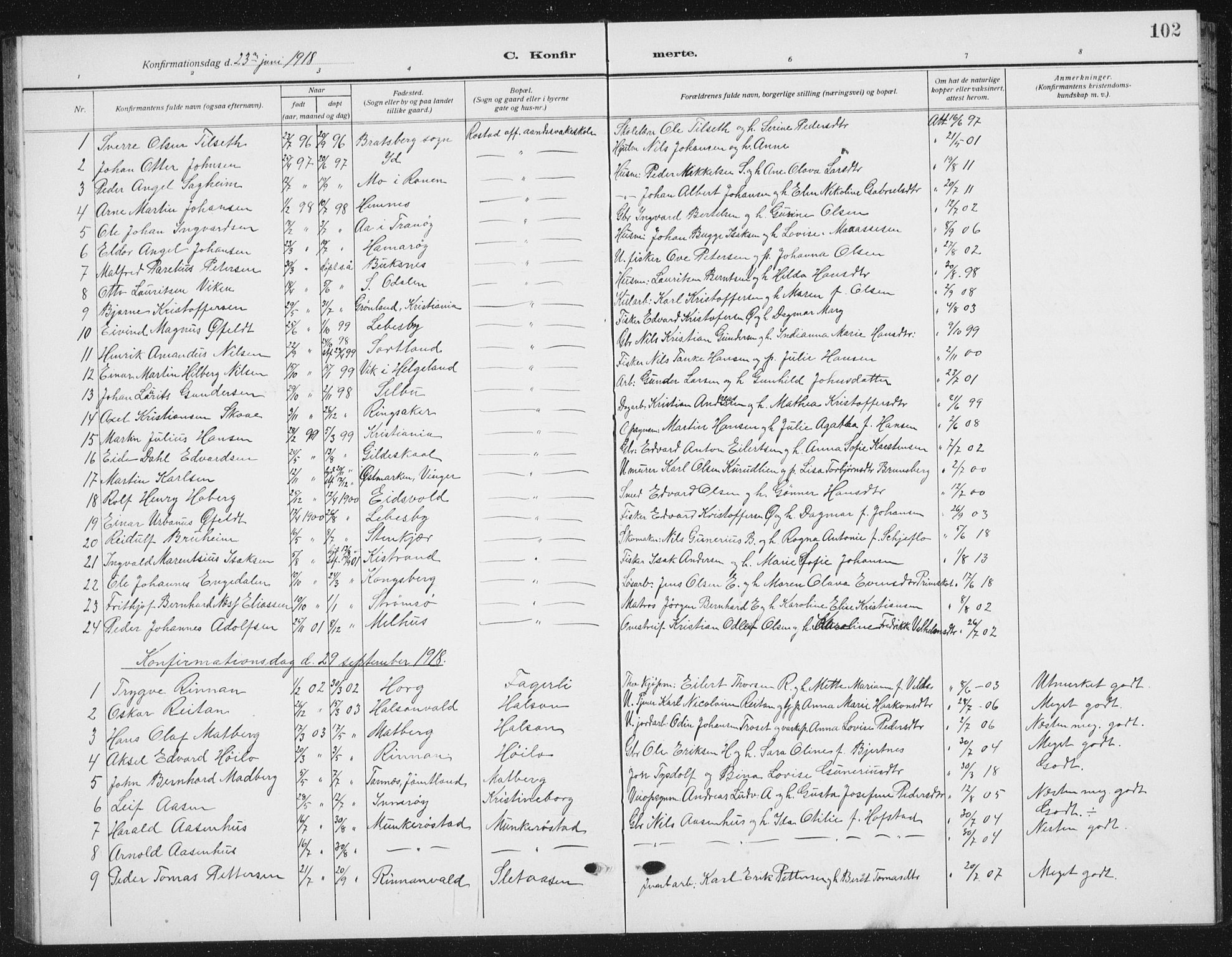 Ministerialprotokoller, klokkerbøker og fødselsregistre - Nord-Trøndelag, AV/SAT-A-1458/721/L0209: Parish register (copy) no. 721C02, 1918-1940, p. 102