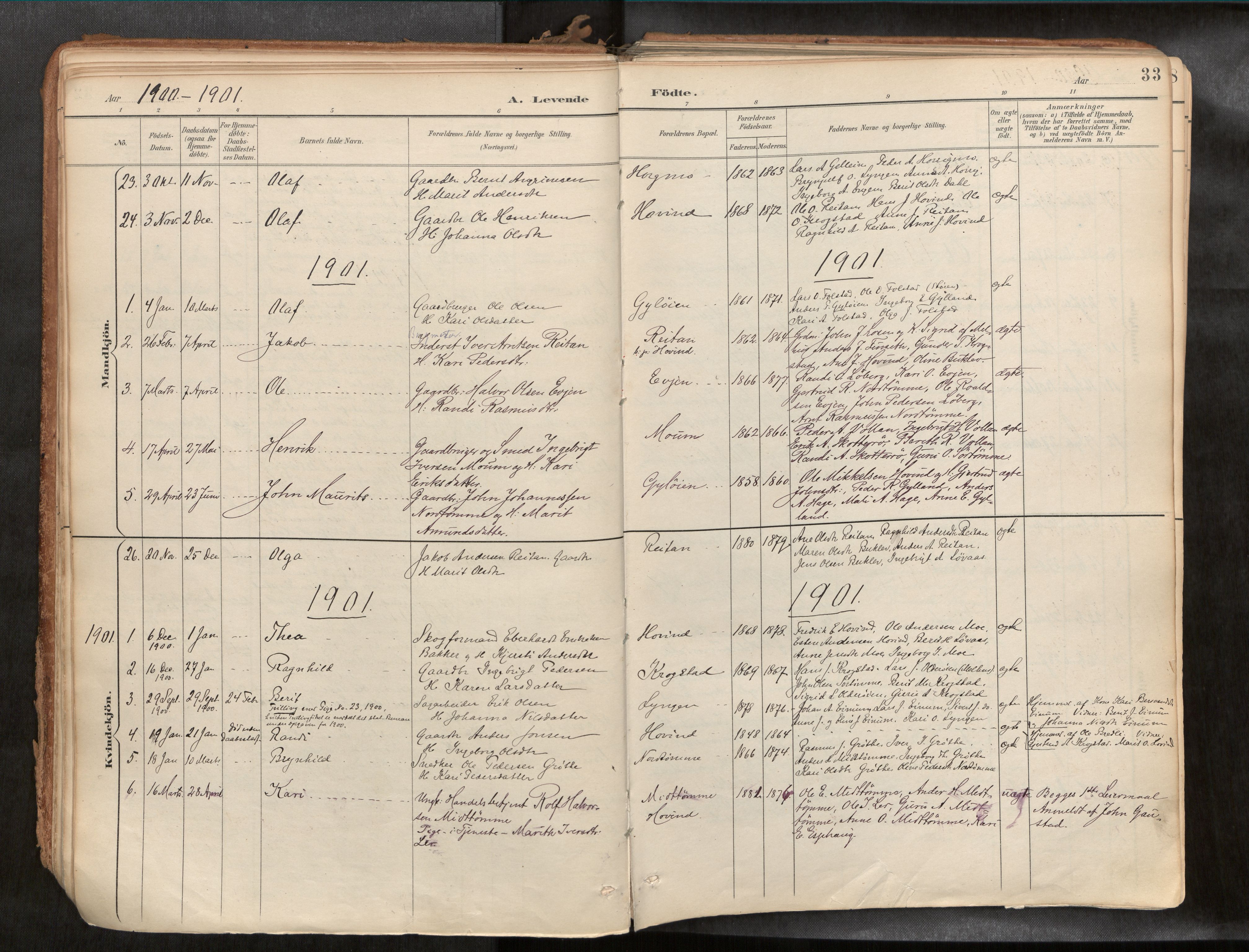 Ministerialprotokoller, klokkerbøker og fødselsregistre - Sør-Trøndelag, SAT/A-1456/692/L1105b: Parish register (official) no. 692A06, 1891-1934, p. 33