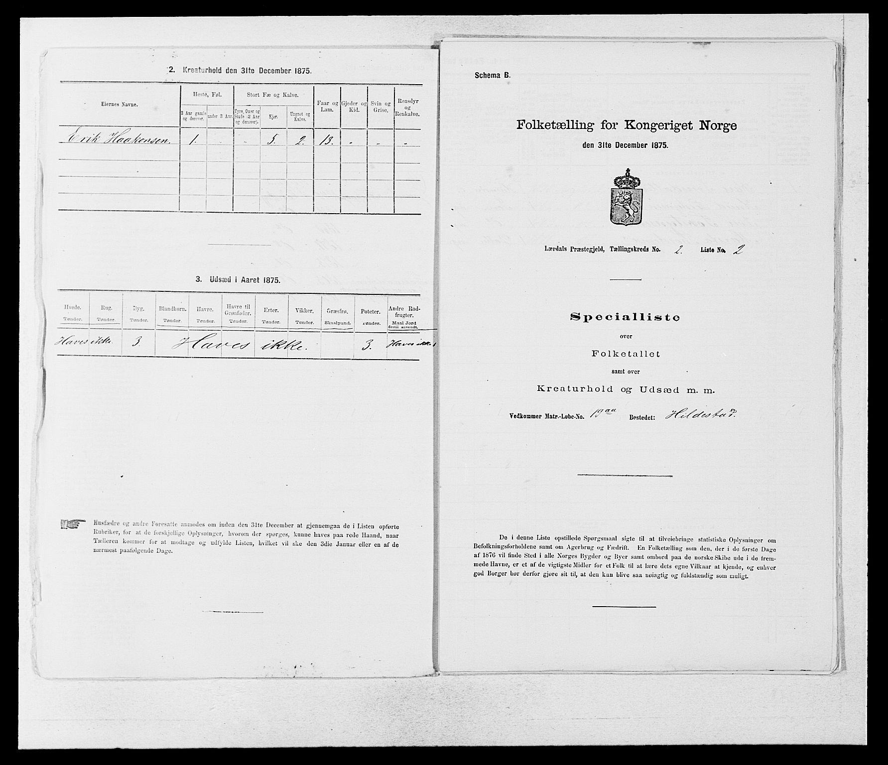 SAB, 1875 census for 1422P Lærdal, 1875, p. 1003