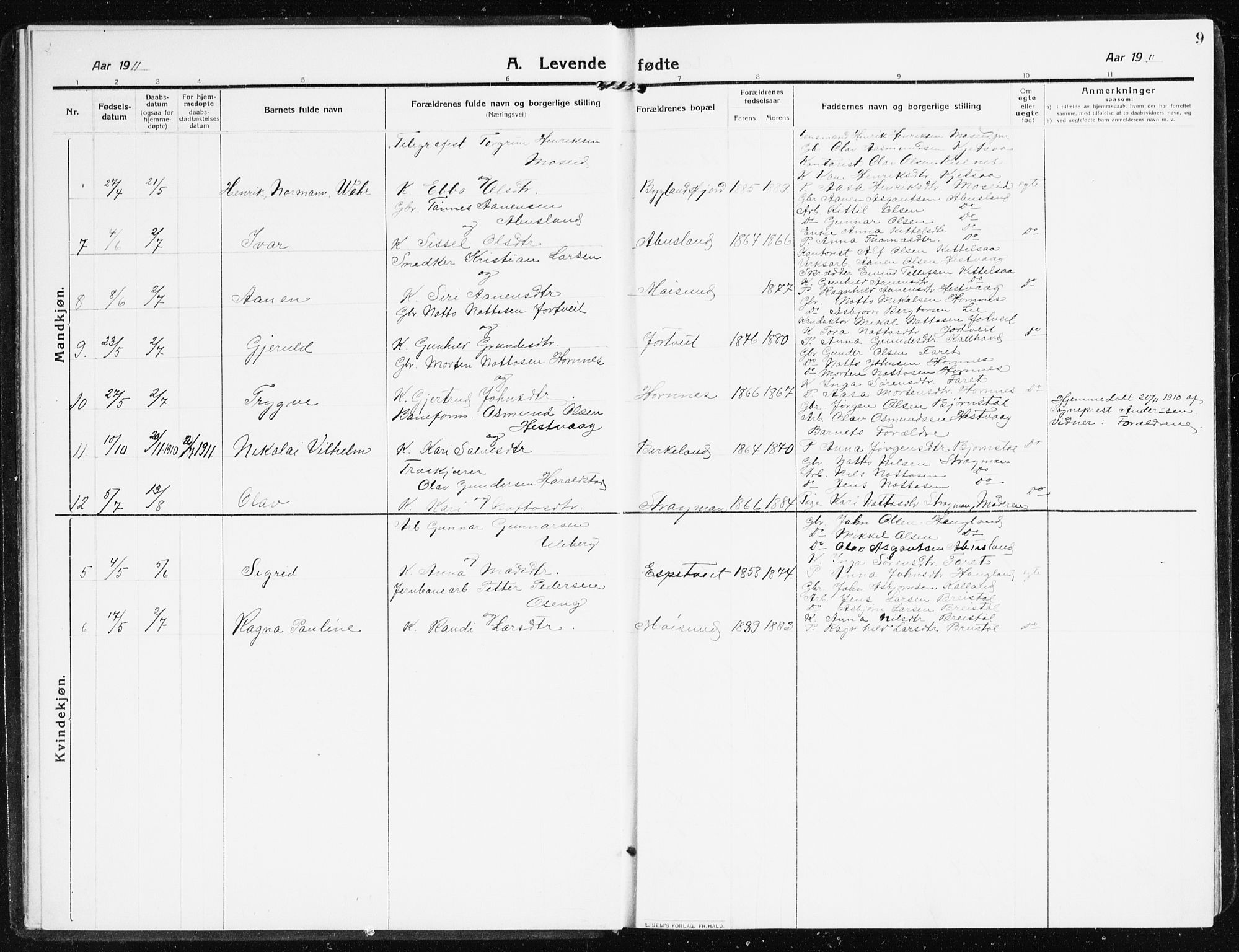 Evje sokneprestkontor, AV/SAK-1111-0008/F/Fb/Fbb/L0003: Parish register (copy) no. B 3, 1910-1933, p. 9