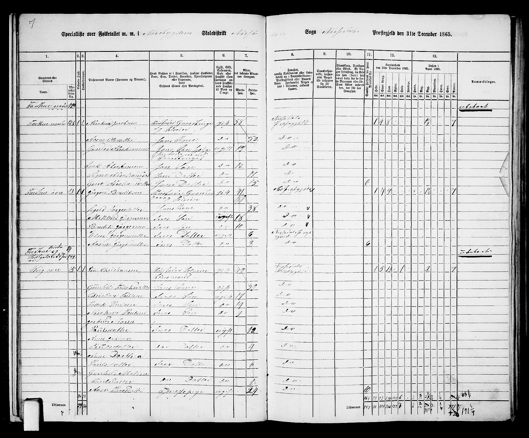 RA, 1865 census for Nissedal, 1865, p. 17