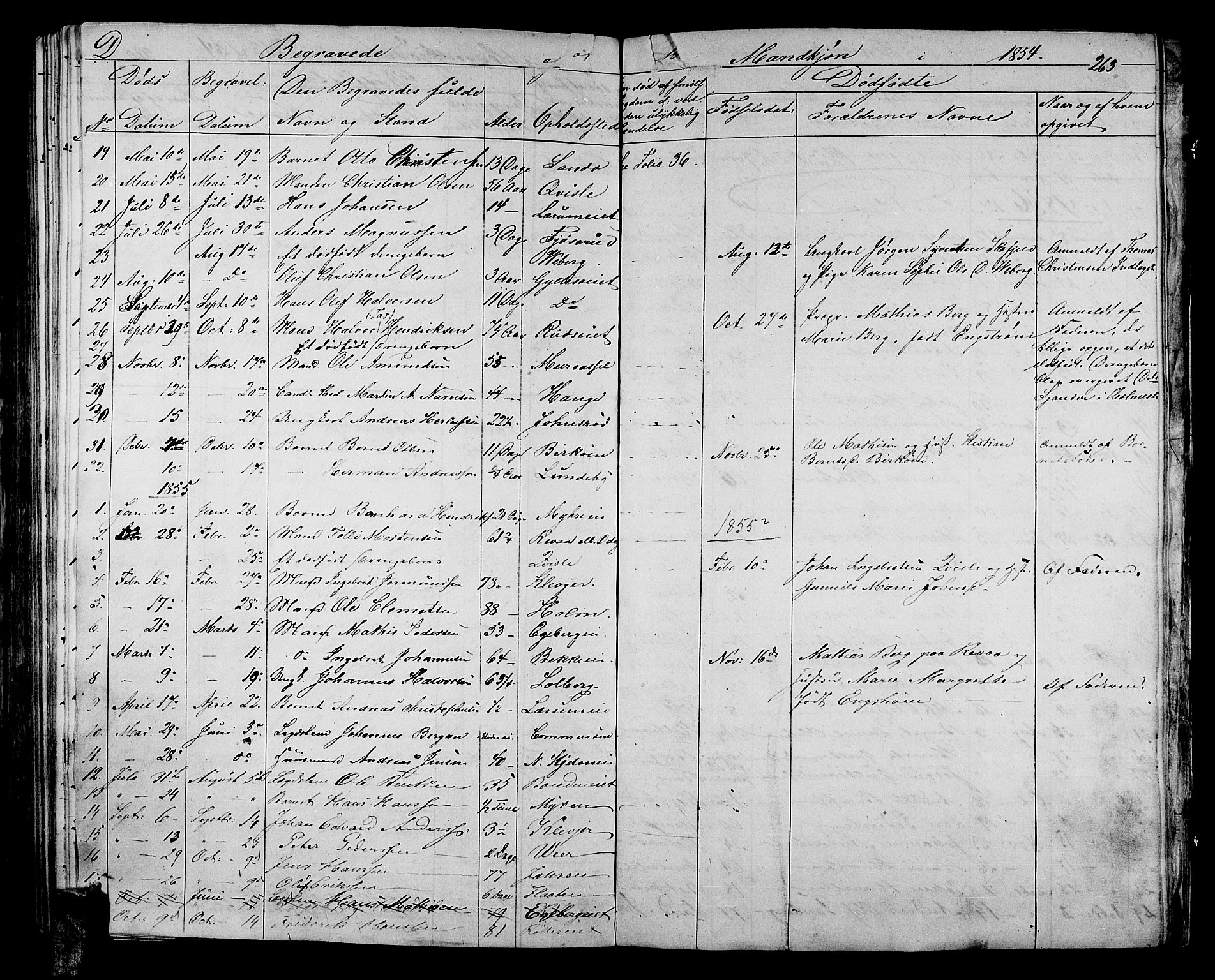 Sande Kirkebøker, AV/SAKO-A-53/G/Ga/L0002: Parish register (copy) no. 2, 1847-1863, p. 263