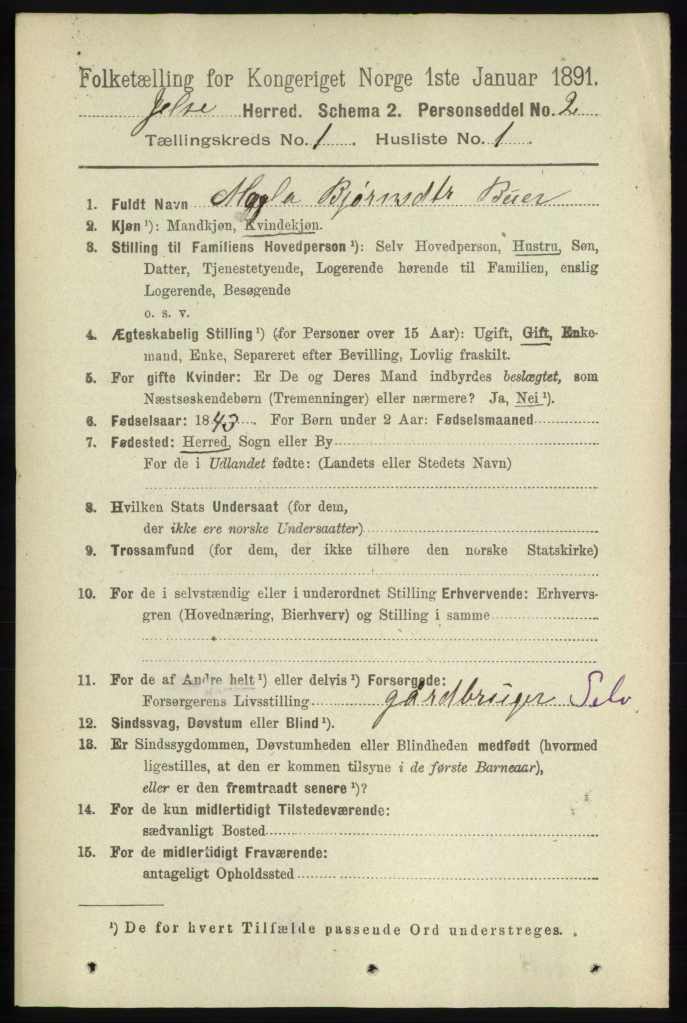 RA, 1891 census for 1138 Jelsa, 1891, p. 73