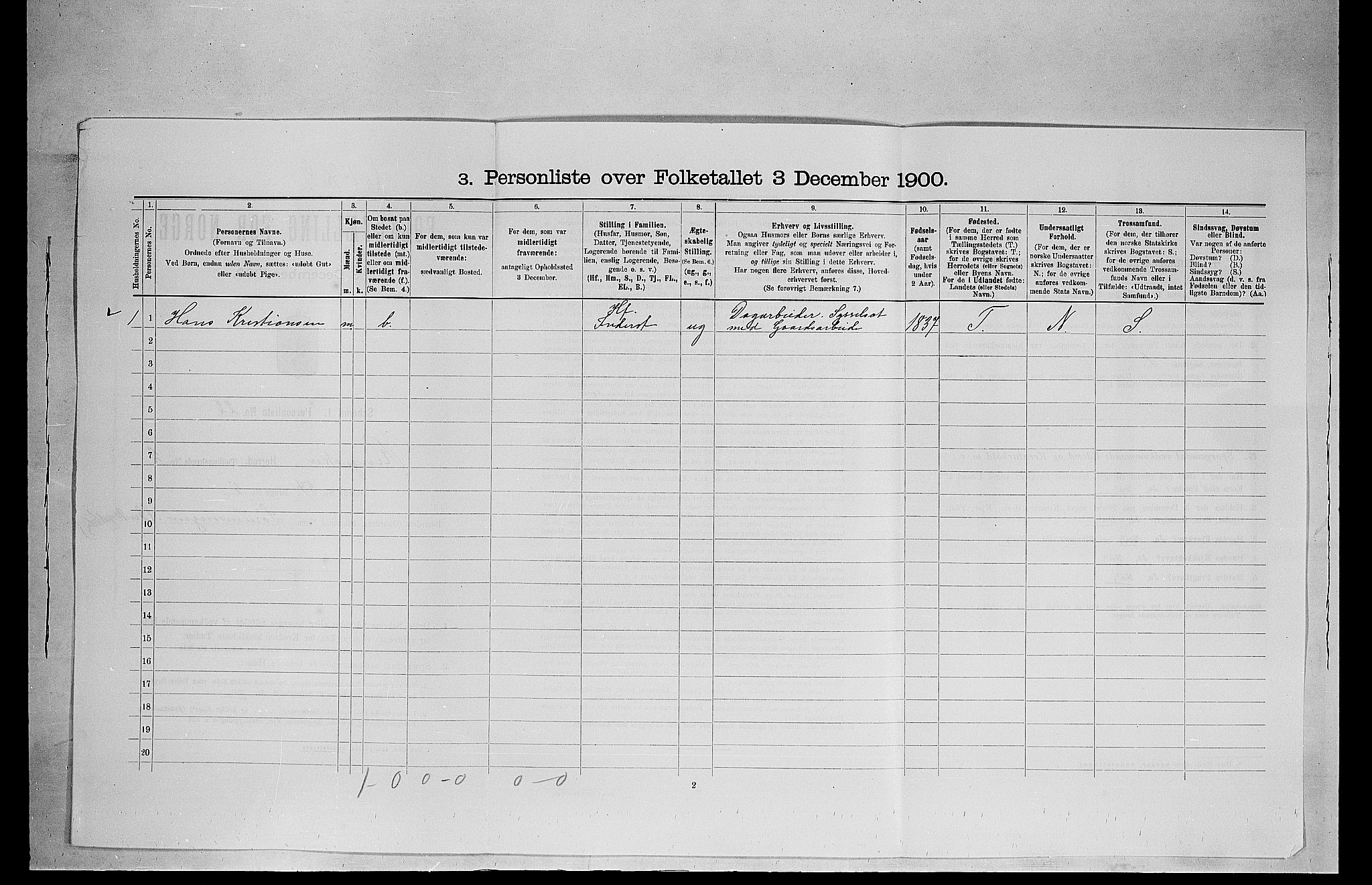 SAH, 1900 census for Ringsaker, 1900, p. 595