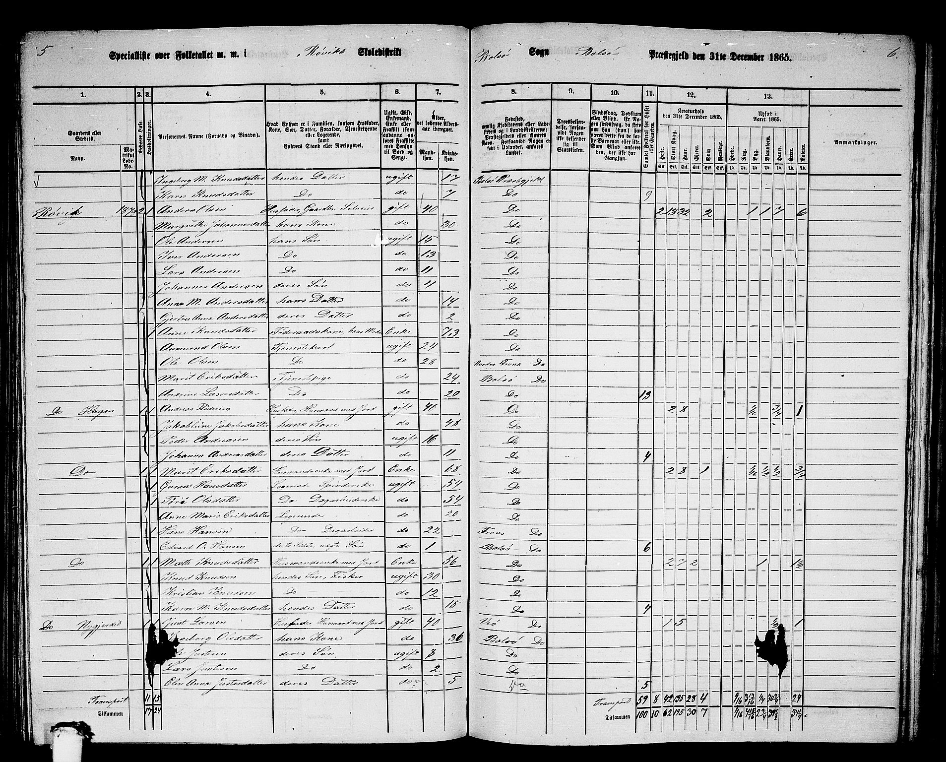 RA, 1865 census for Bolsøy, 1865, p. 61