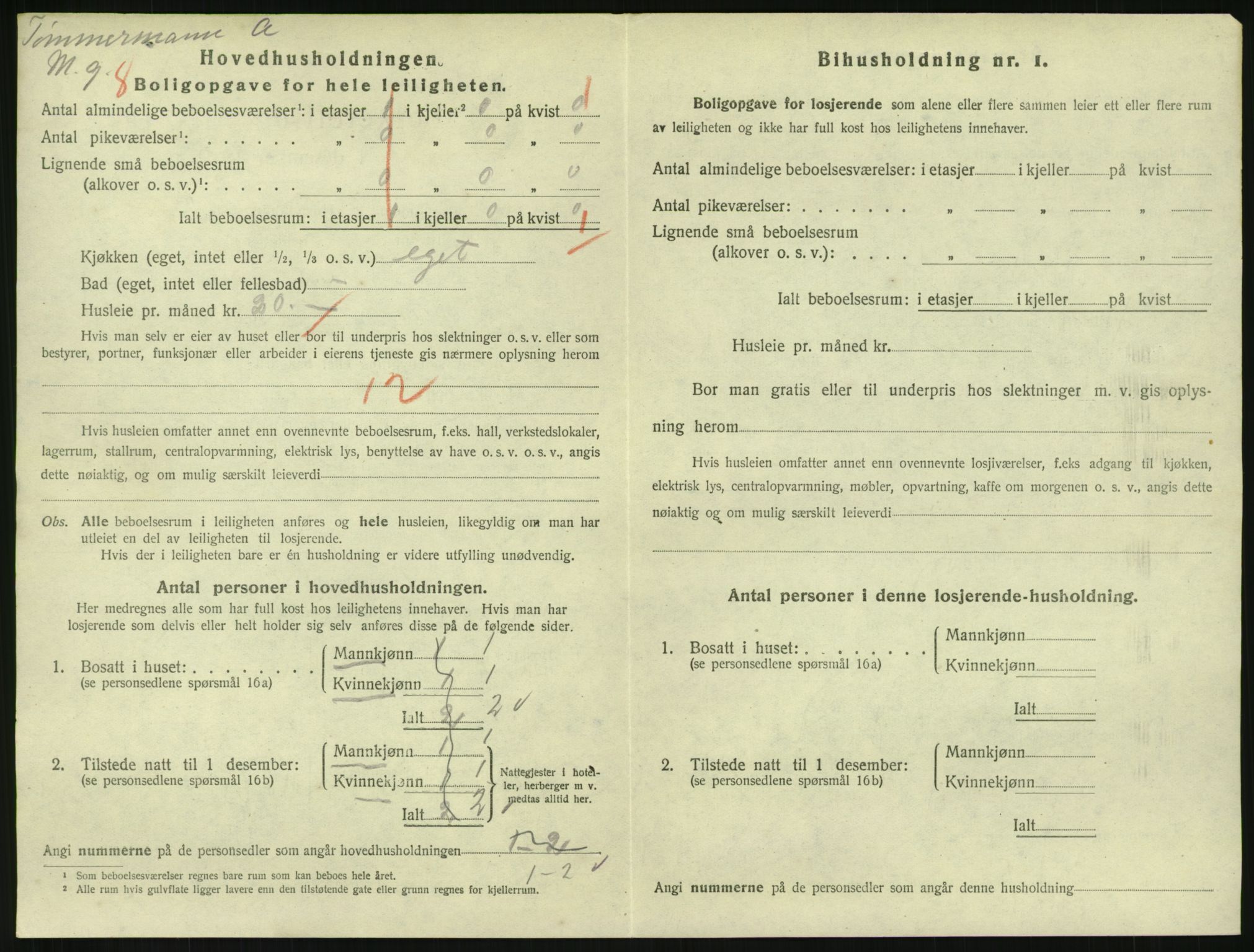 SAKO, 1920 census for Hønefoss, 1920, p. 2107