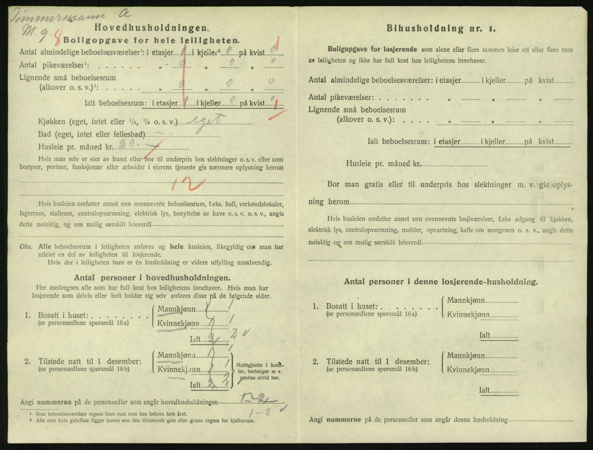 SAKO, 1920 census for Hønefoss, 1920, p. 2107