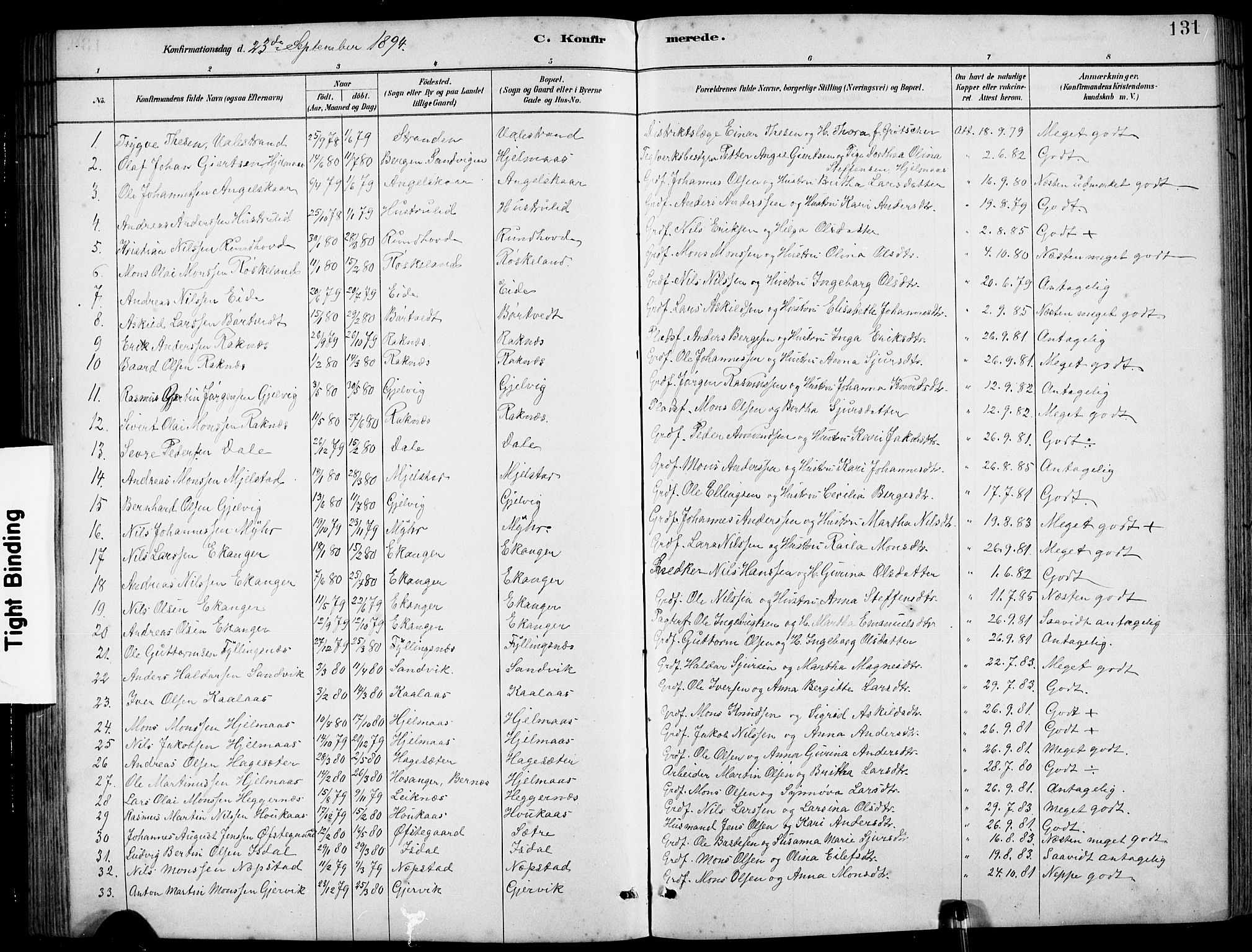 Hamre sokneprestembete, AV/SAB-A-75501/H/Ha/Hab: Parish register (copy) no. B 3, 1881-1898, p. 131