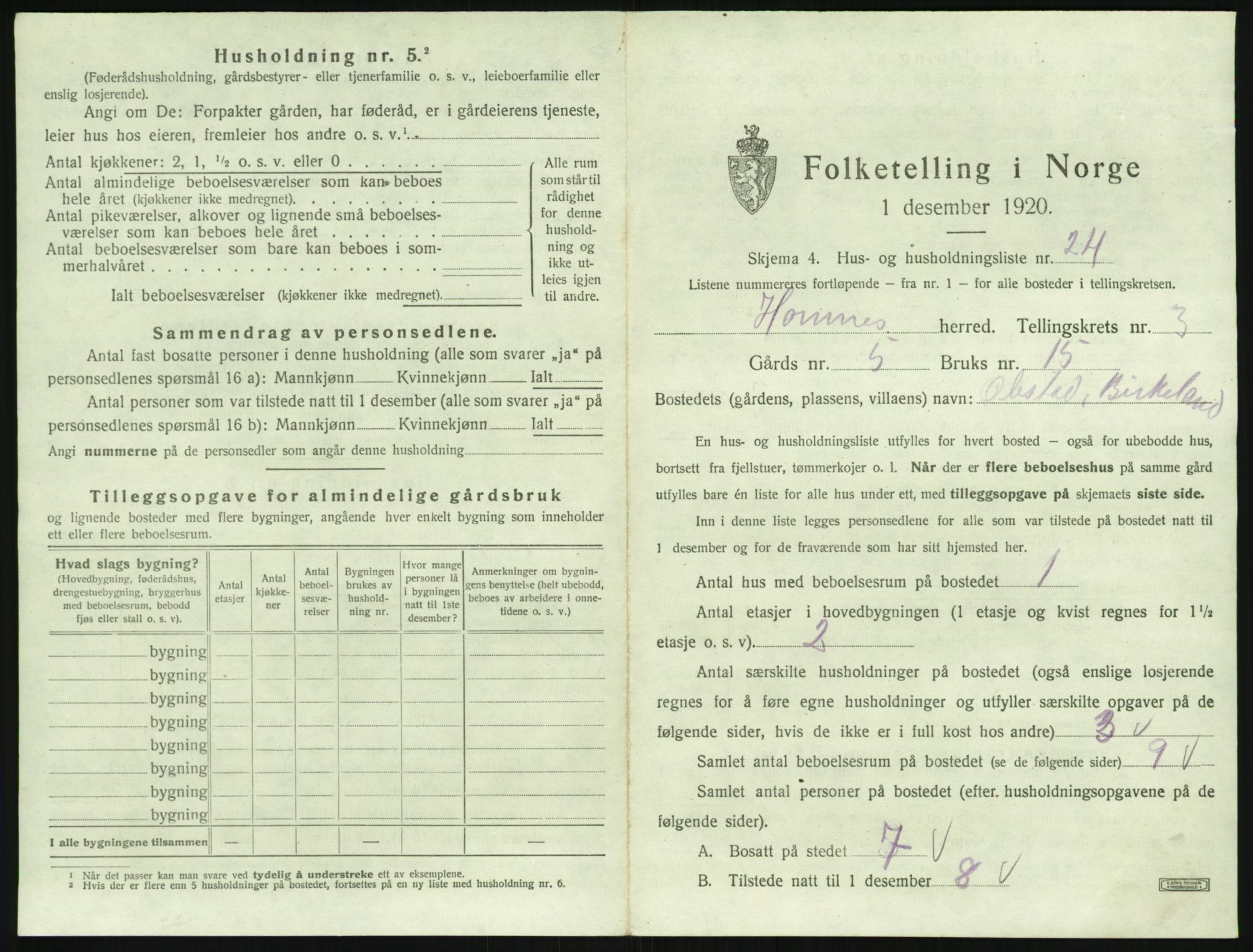 SAK, 1920 census for Hornnes, 1920, p. 163