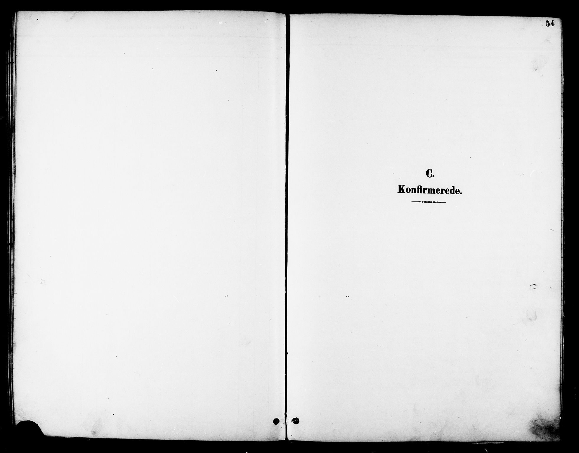 Ministerialprotokoller, klokkerbøker og fødselsregistre - Nordland, AV/SAT-A-1459/830/L0463: Parish register (copy) no. 830C05, 1895-1906, p. 54