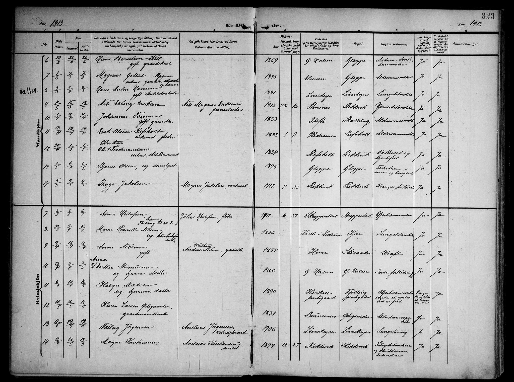 Tjølling kirkebøker, AV/SAKO-A-60/F/Fa/L0010: Parish register (official) no. 10, 1906-1923, p. 323