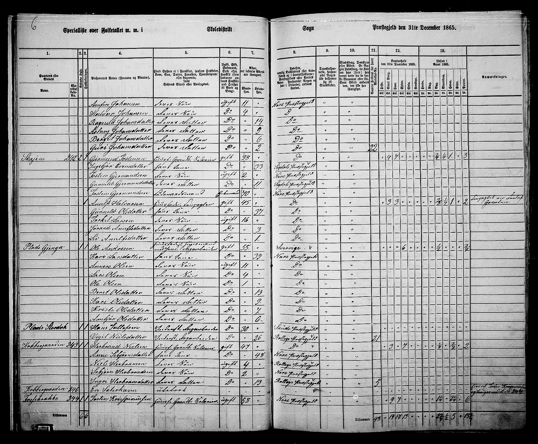 RA, 1865 census for Nore, 1865, p. 18