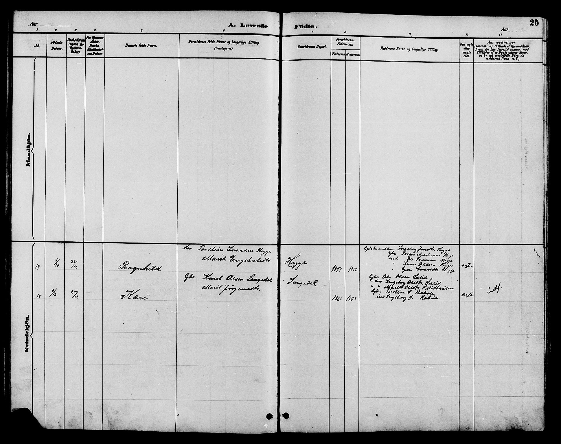 Øystre Slidre prestekontor, AV/SAH-PREST-138/H/Ha/Hab/L0004: Parish register (copy) no. 4, 1887-1907, p. 25