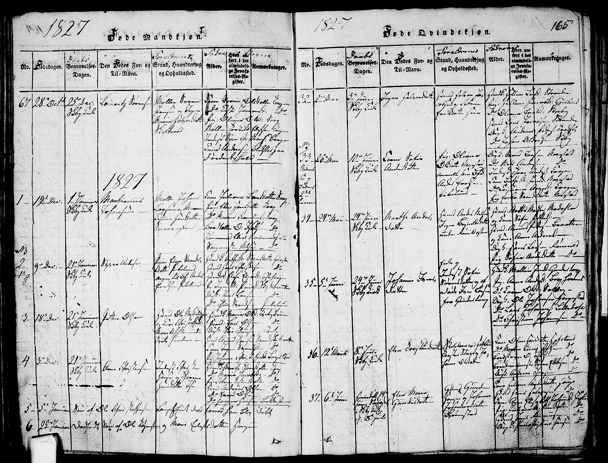 Skjeberg prestekontor Kirkebøker, AV/SAO-A-10923/G/Ga/L0001: Parish register (copy) no. I 1, 1815-1830, p. 165