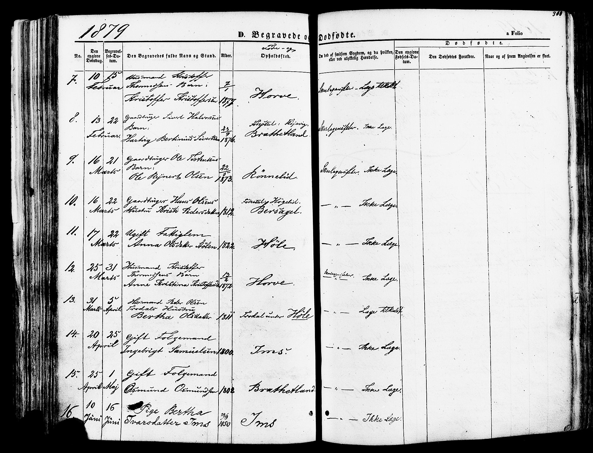 Høgsfjord sokneprestkontor, AV/SAST-A-101624/H/Ha/Haa/L0002: Parish register (official) no. A 2, 1855-1885, p. 310