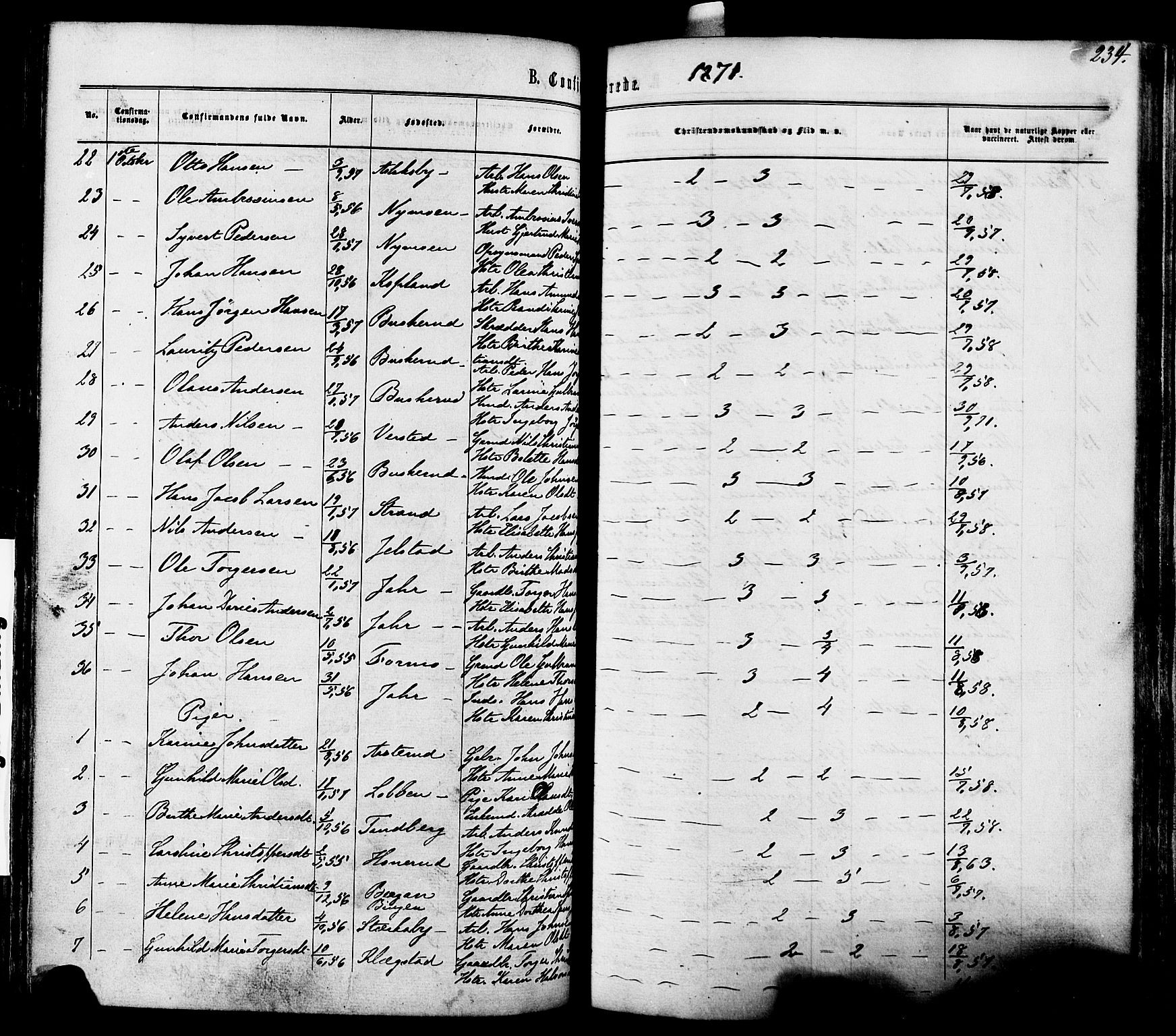 Modum kirkebøker, AV/SAKO-A-234/F/Fa/L0010: Parish register (official) no. 10, 1865-1876, p. 234