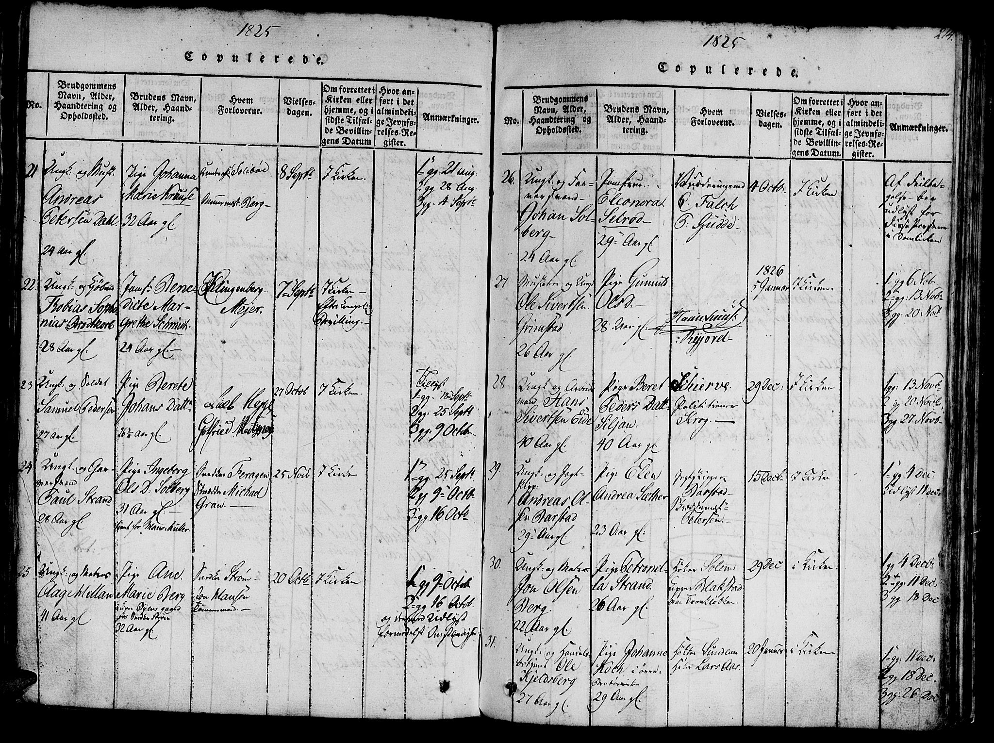Ministerialprotokoller, klokkerbøker og fødselsregistre - Sør-Trøndelag, SAT/A-1456/602/L0135: Parish register (copy) no. 602C03, 1815-1832, p. 214