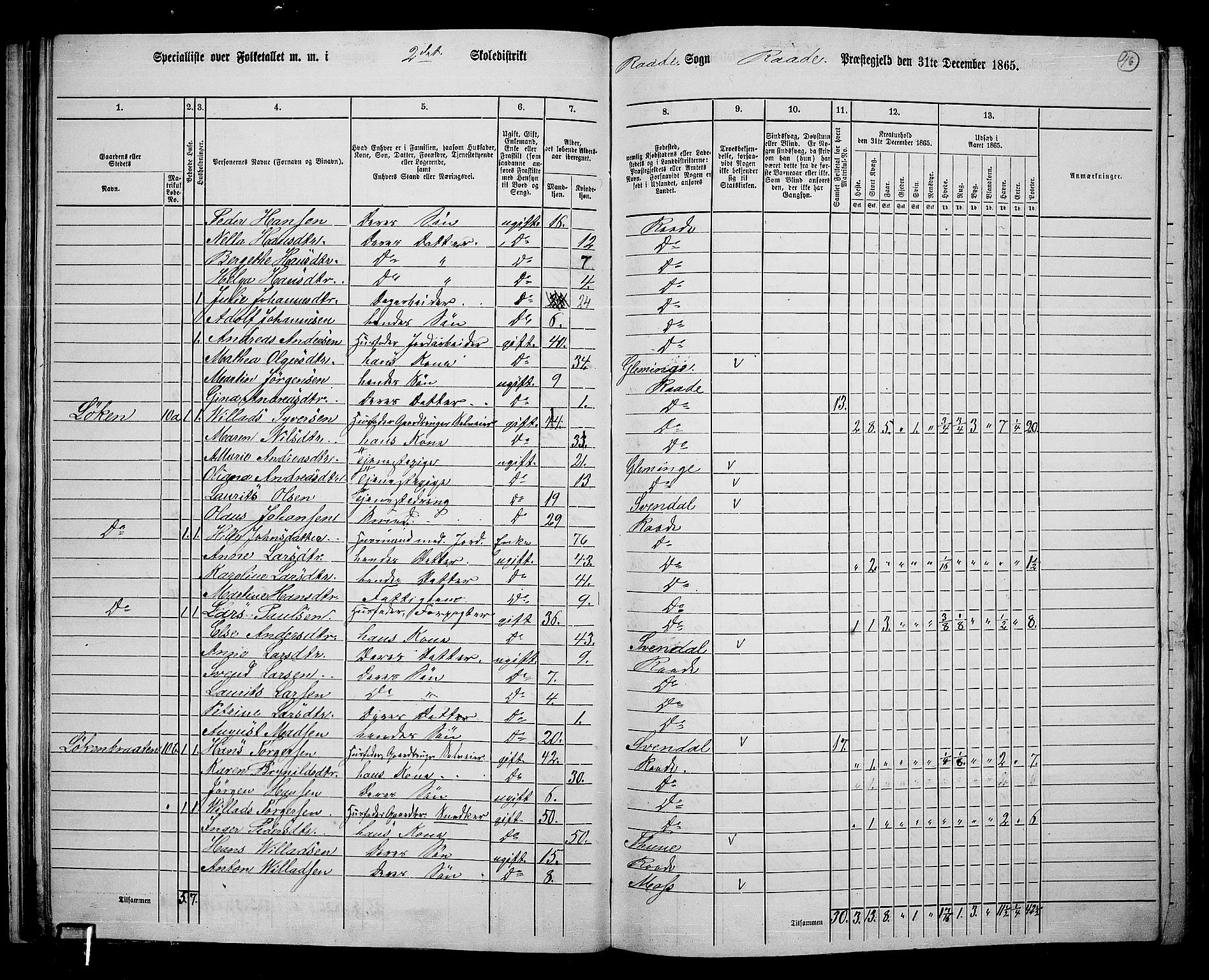 RA, 1865 census for Råde, 1865, p. 40