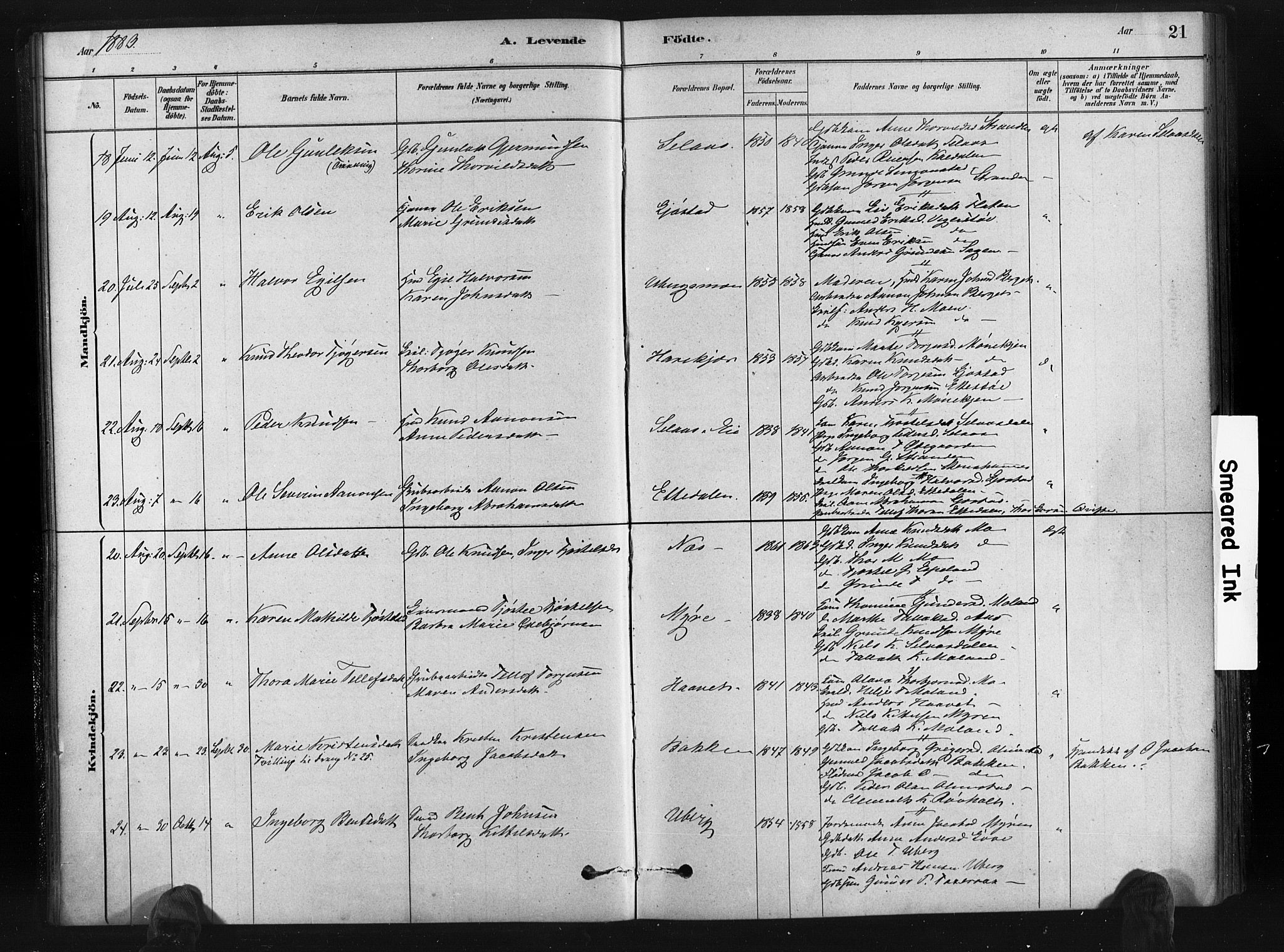 Gjerstad sokneprestkontor, AV/SAK-1111-0014/F/Fa/Fab/L0004: Parish register (official) no. A 4, 1879-1890, p. 21