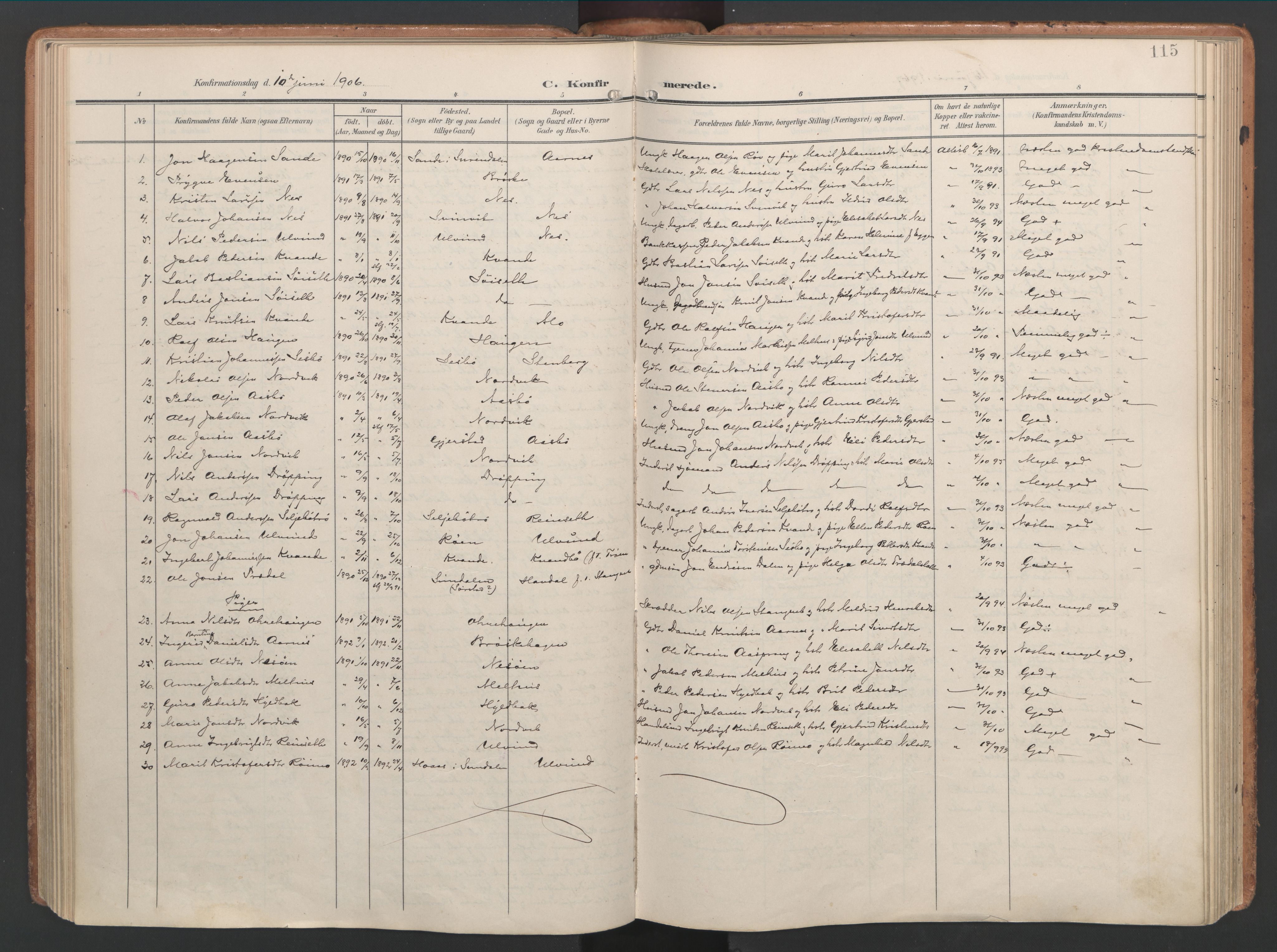 Ministerialprotokoller, klokkerbøker og fødselsregistre - Møre og Romsdal, AV/SAT-A-1454/592/L1030: Parish register (official) no. 592A08, 1901-1925, p. 115