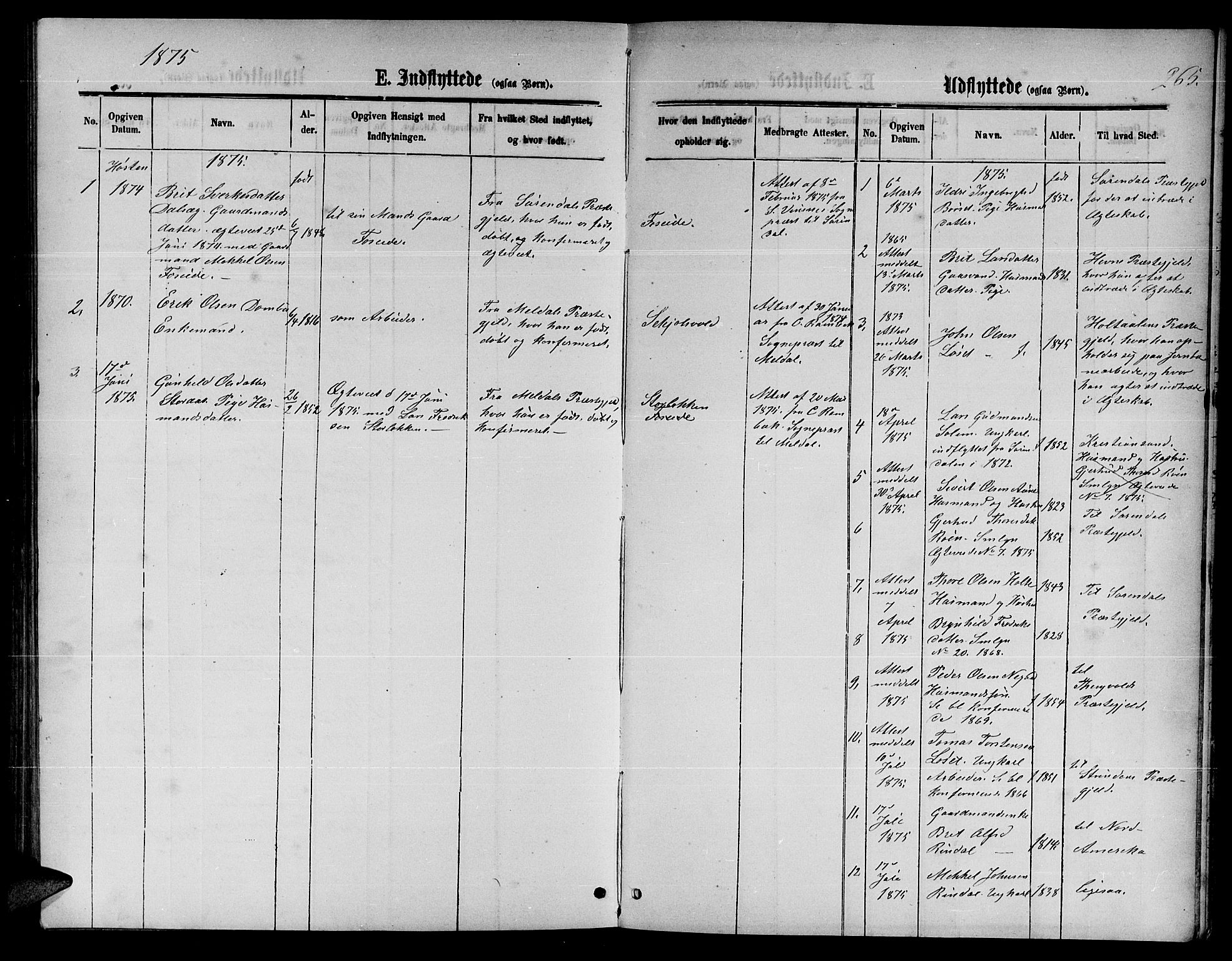 Ministerialprotokoller, klokkerbøker og fødselsregistre - Møre og Romsdal, AV/SAT-A-1454/598/L1076: Parish register (copy) no. 598C01, 1867-1878, p. 265