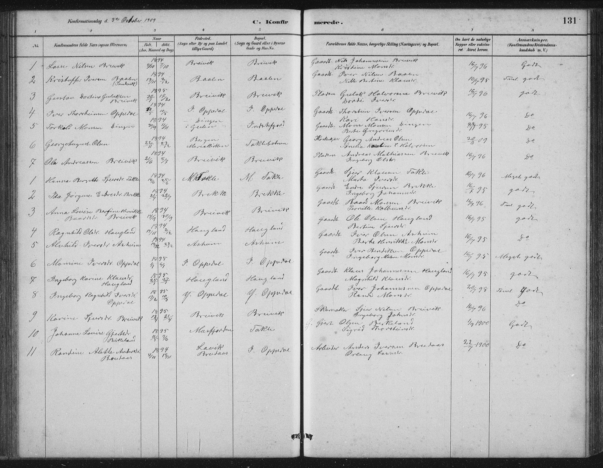 Gulen sokneprestembete, AV/SAB-A-80201/H/Hab/Habc/L0002: Parish register (copy) no. C 2, 1880-1938, p. 131