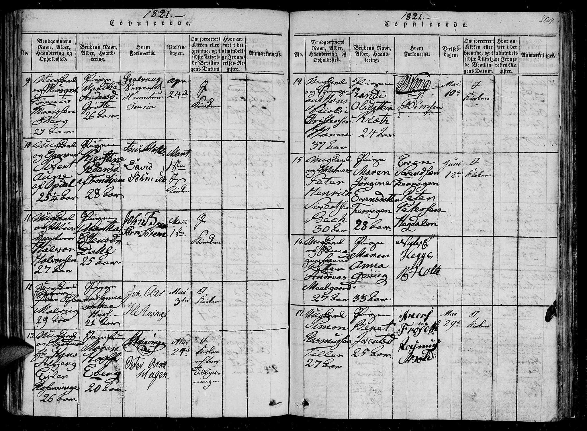 Ministerialprotokoller, klokkerbøker og fødselsregistre - Sør-Trøndelag, AV/SAT-A-1456/602/L0107: Parish register (official) no. 602A05, 1815-1821, p. 204