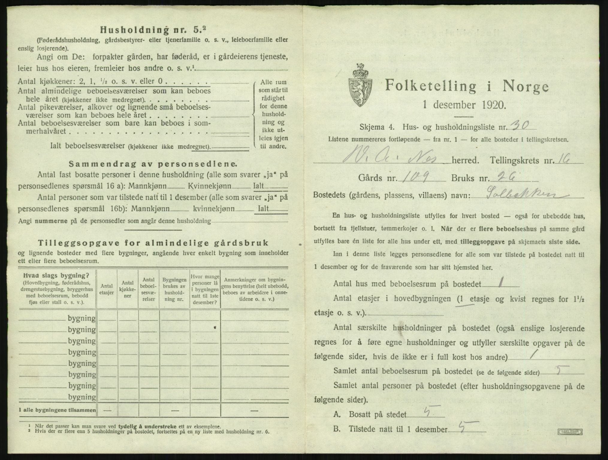 SAK, 1920 census for Nes (V-A), 1920, p. 1028