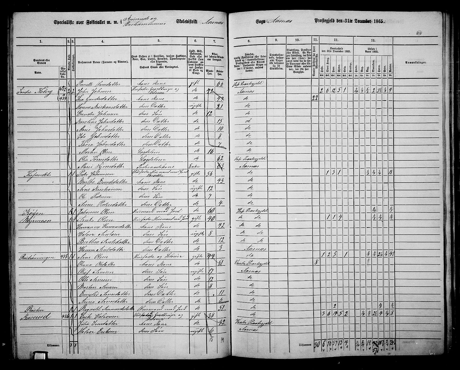 RA, 1865 census for Åsnes, 1865, p. 109