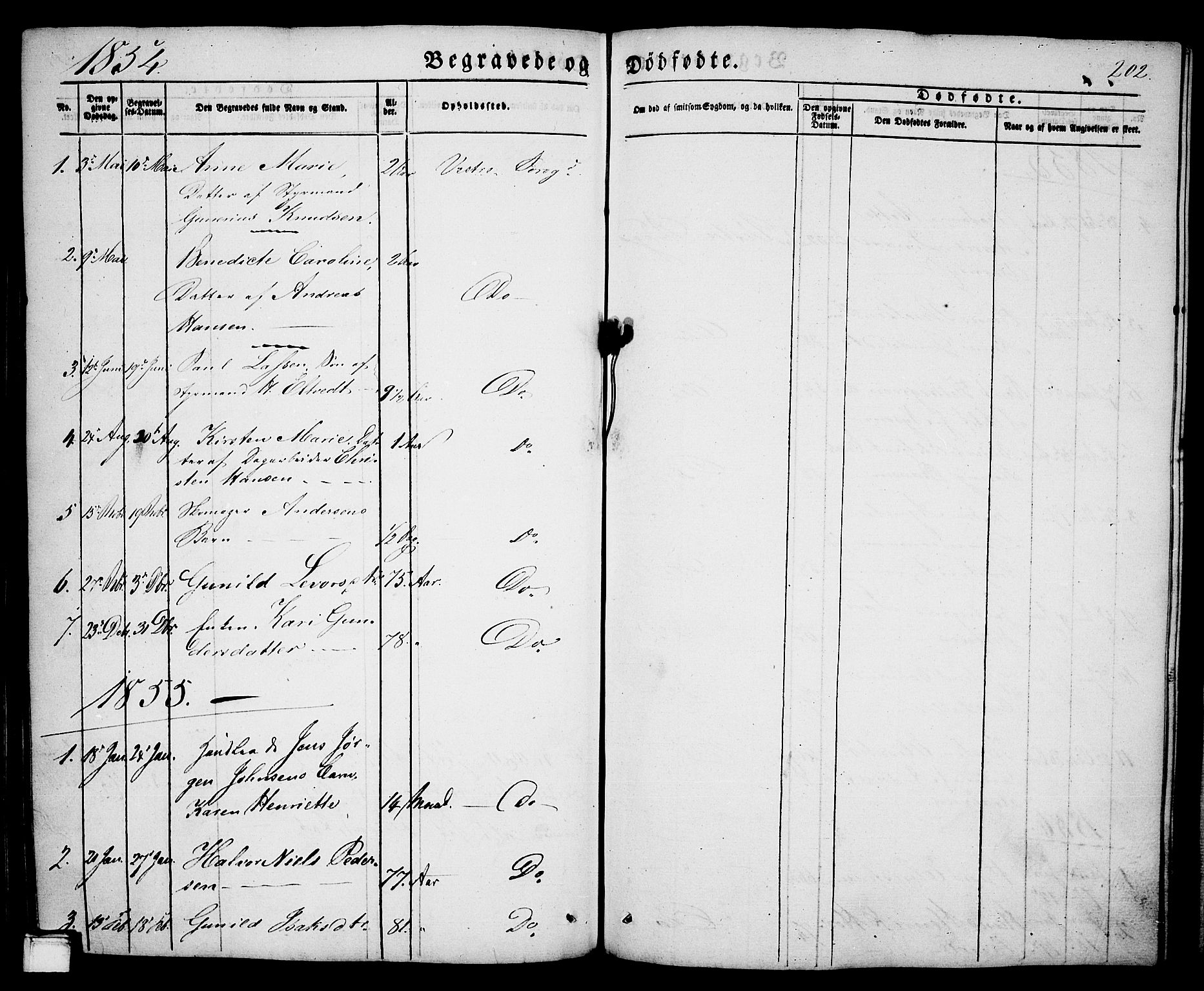 Porsgrunn kirkebøker , SAKO/A-104/G/Ga/L0002: Parish register (copy) no. I 2, 1847-1877, p. 202