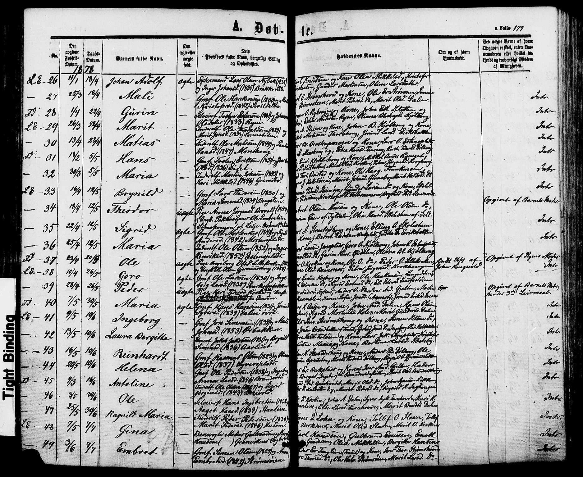 Alvdal prestekontor, AV/SAH-PREST-060/H/Ha/Haa/L0001: Parish register (official) no. 1, 1863-1882, p. 177