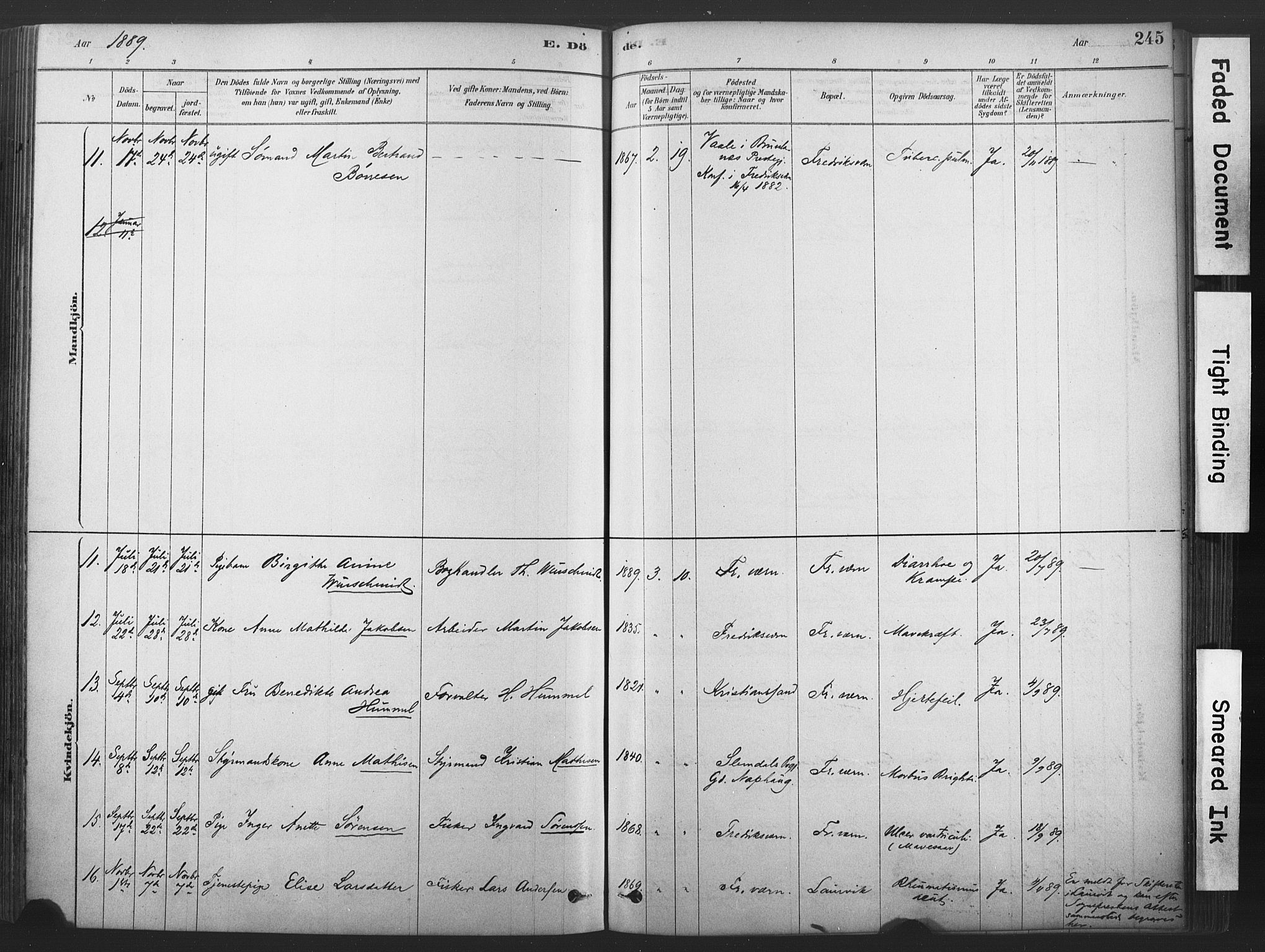 Stavern kirkebøker, AV/SAKO-A-318/F/Fa/L0008: Parish register (official) no. 8, 1878-1905, p. 245