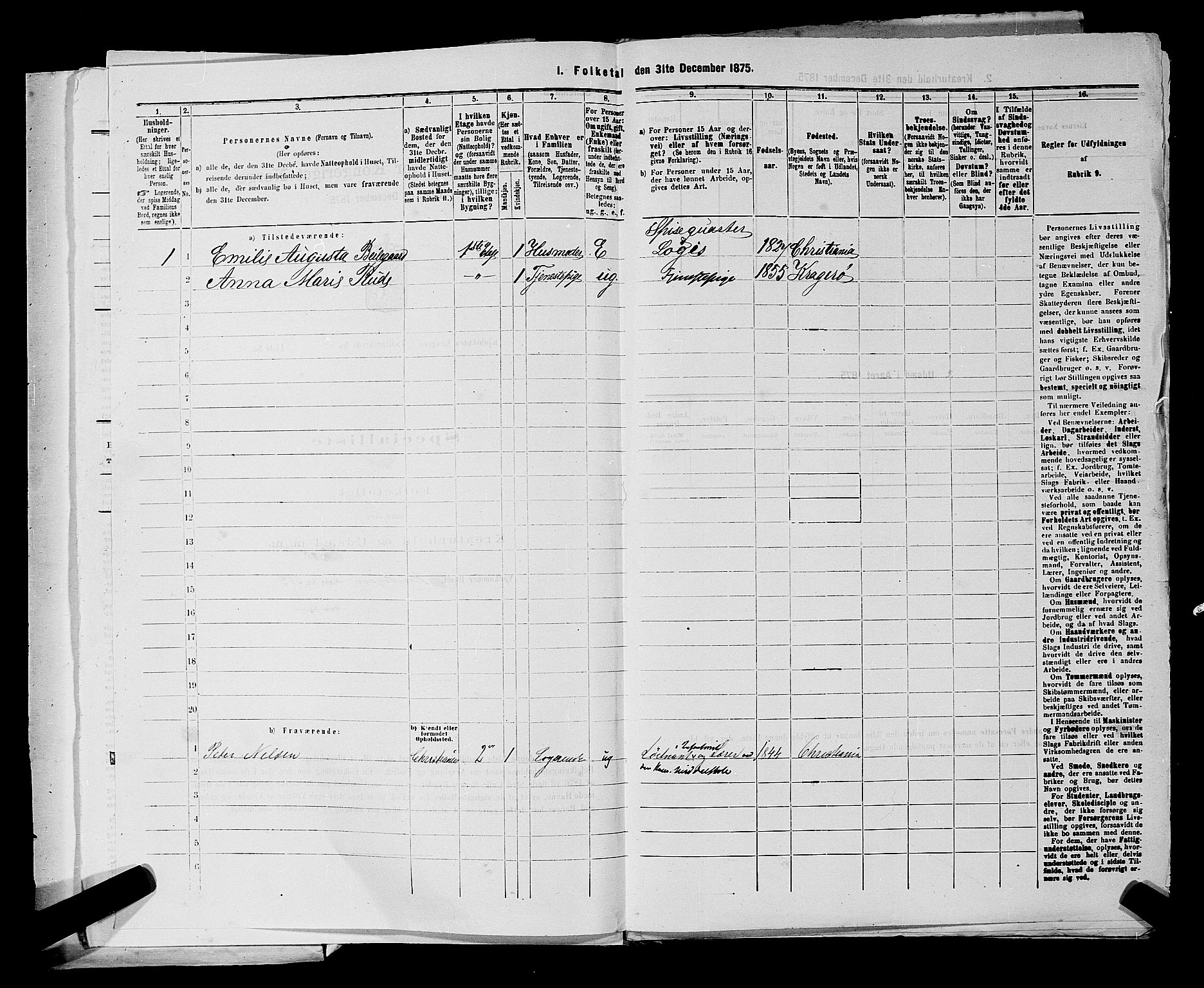 SAKO, 1875 census for 0801P Kragerø, 1875, p. 135