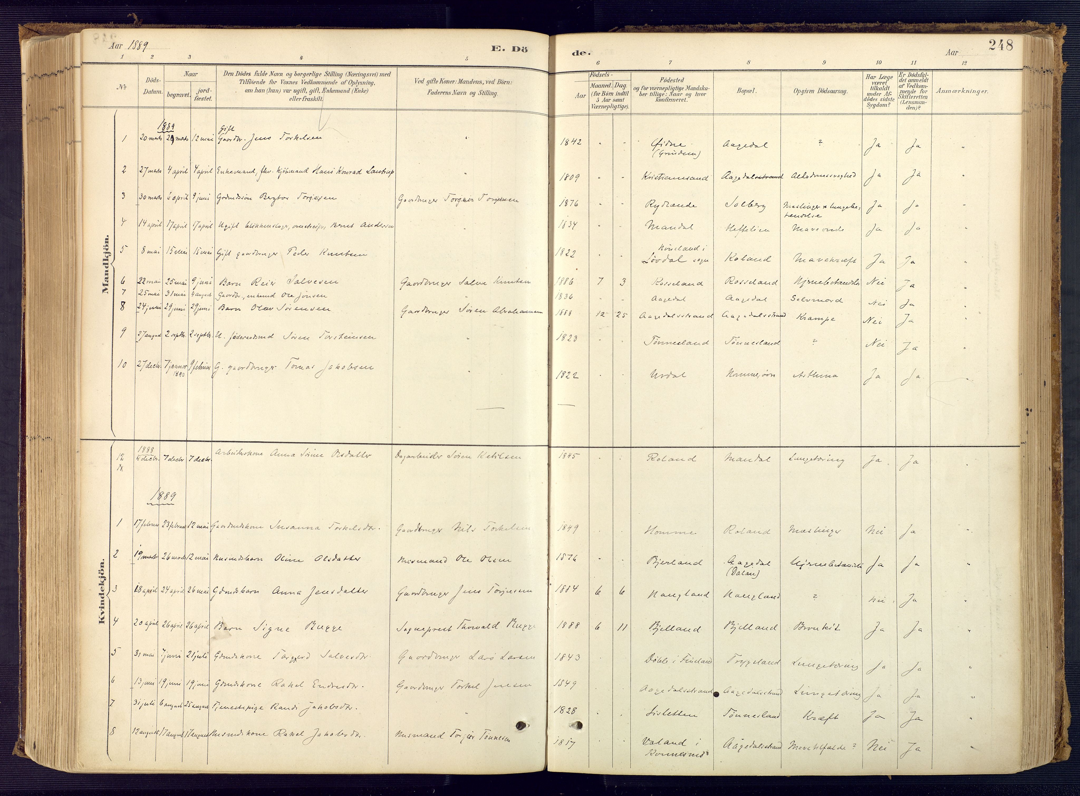 Bjelland sokneprestkontor, AV/SAK-1111-0005/F/Fa/Faa/L0004: Parish register (official) no. A 4, 1887-1923, p. 248