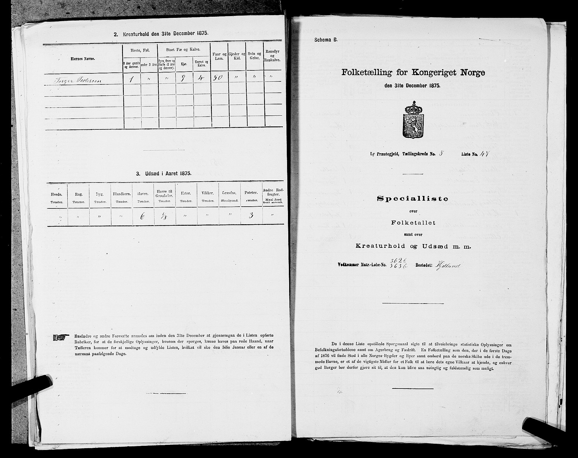 SAST, 1875 census for 1121P Lye, 1875, p. 1021