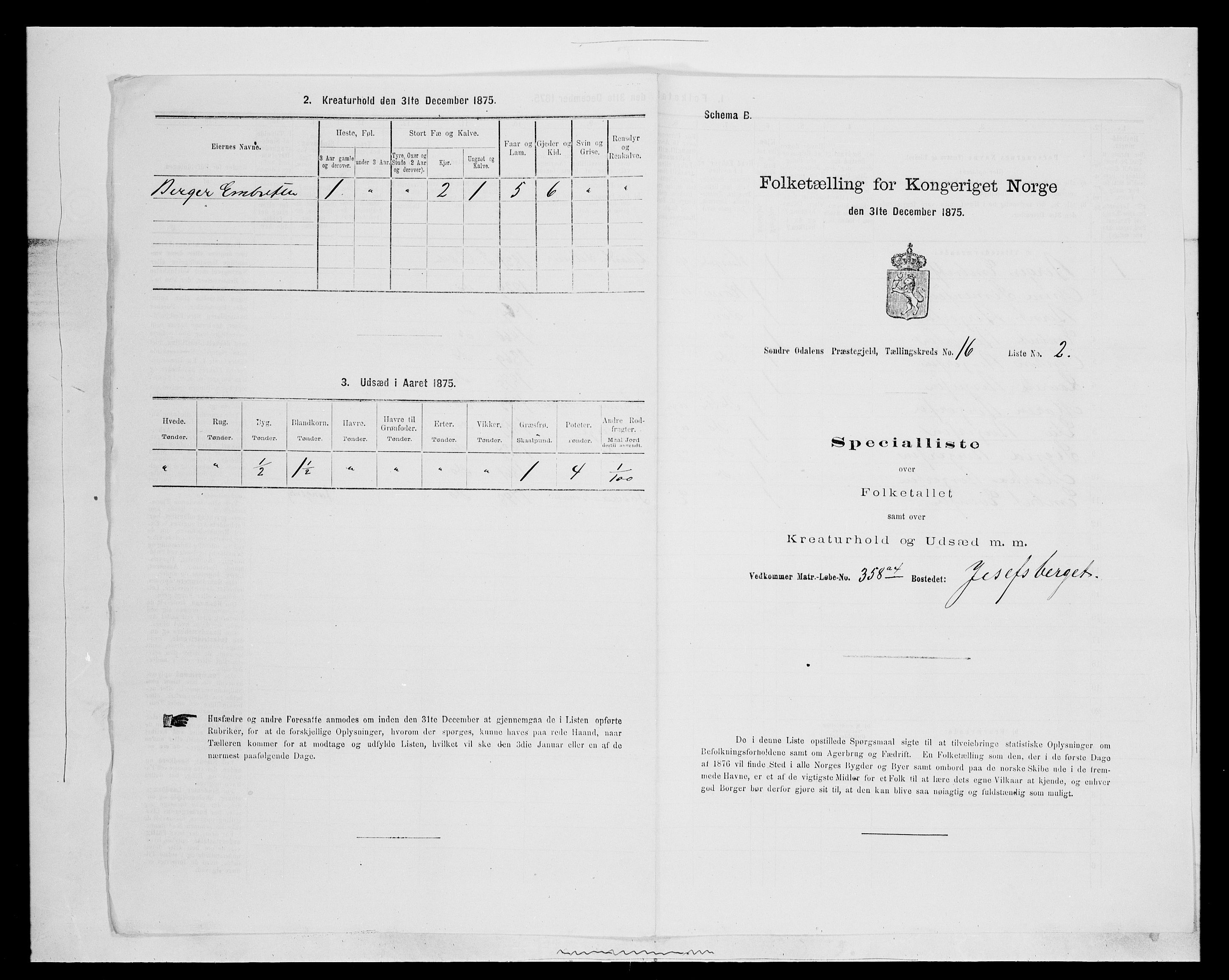 SAH, 1875 census for 0419P Sør-Odal, 1875, p. 1429