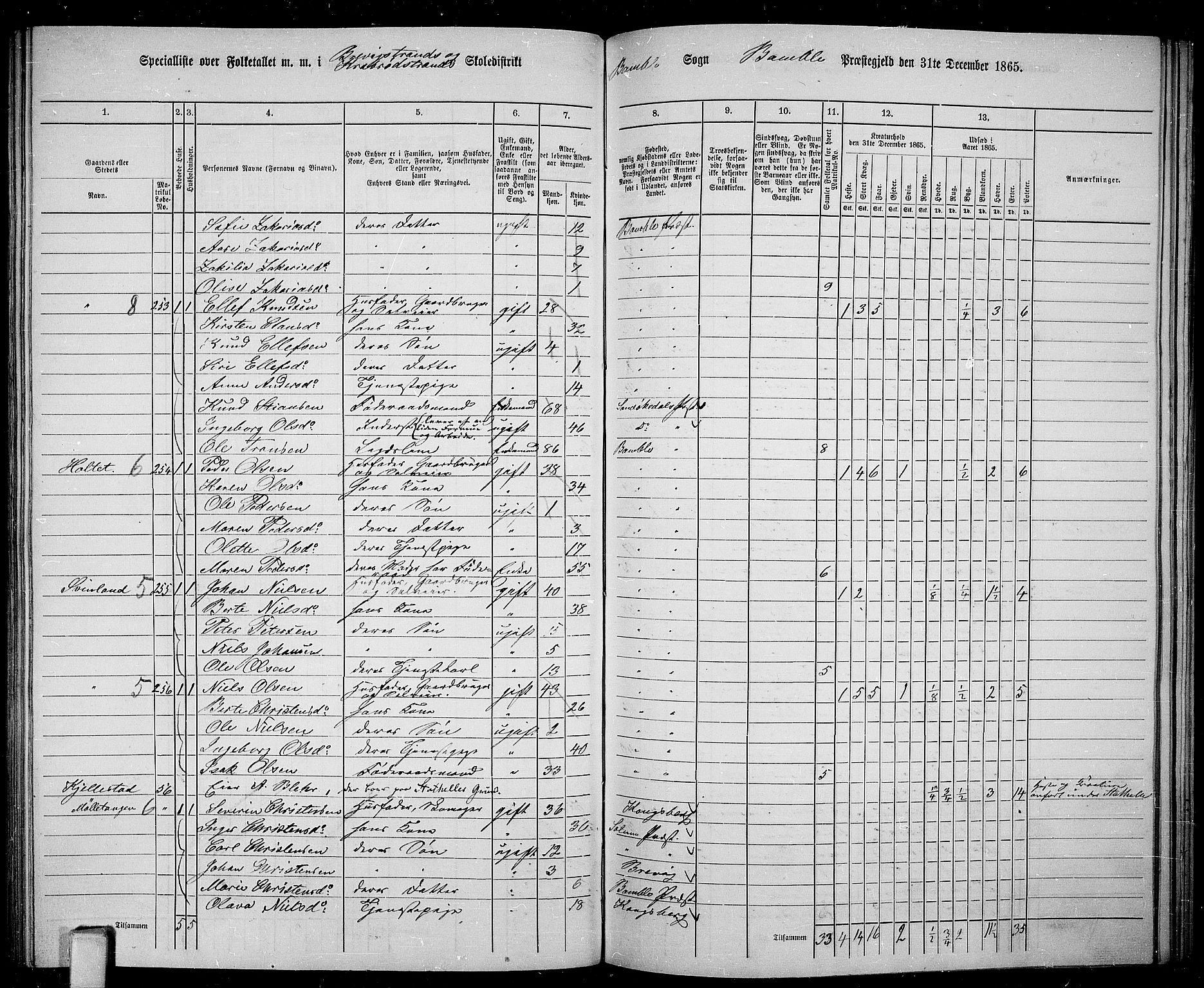 RA, 1865 census for Bamble, 1865, p. 136