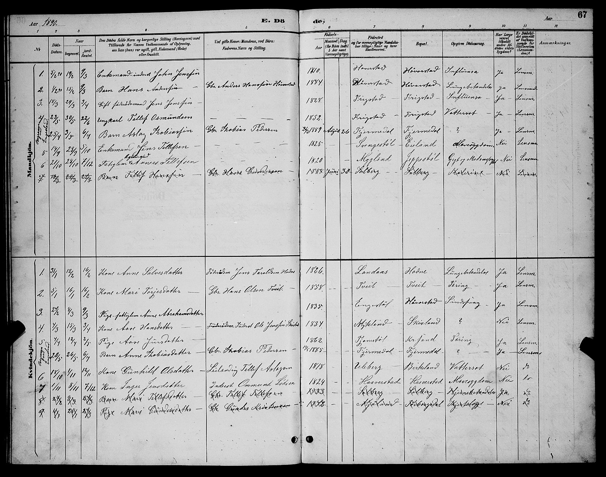Evje sokneprestkontor, SAK/1111-0008/F/Fb/Fbc/L0004: Parish register (copy) no. B 4, 1890-1900, p. 67