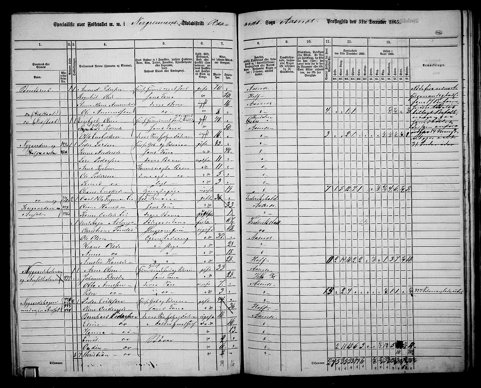 RA, 1865 census for Åsnes, 1865, p. 131