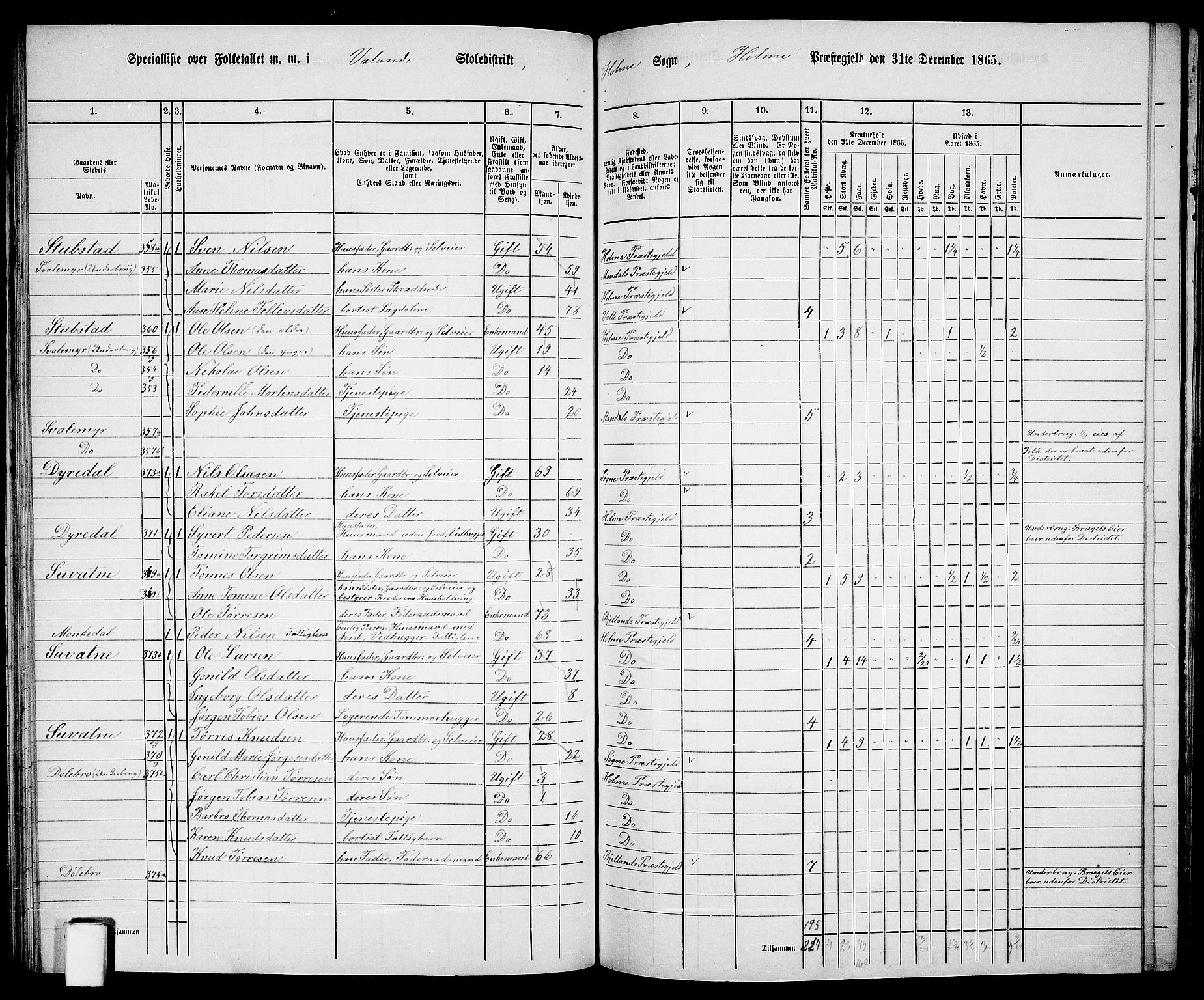 RA, 1865 census for Holum, 1865, p. 84