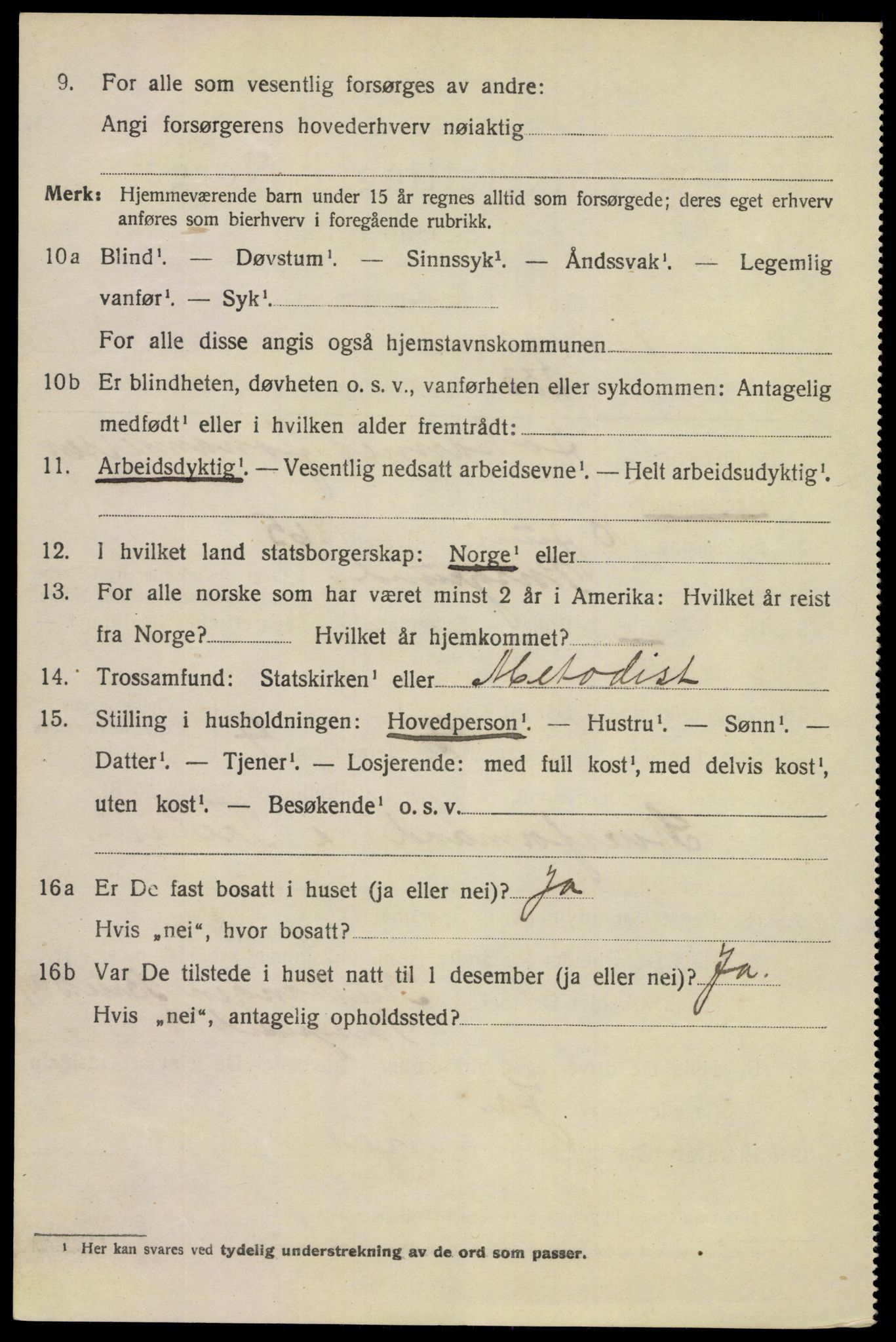 SAKO, 1920 census for Porsgrunn, 1920, p. 17376