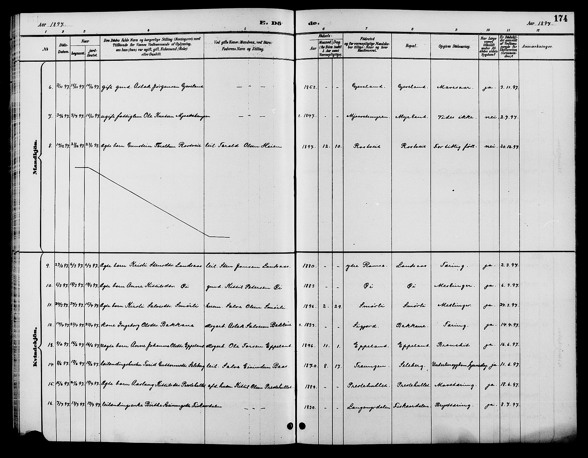 Åmli sokneprestkontor, AV/SAK-1111-0050/F/Fb/Fbc/L0004: Parish register (copy) no. B 4, 1889-1902, p. 174