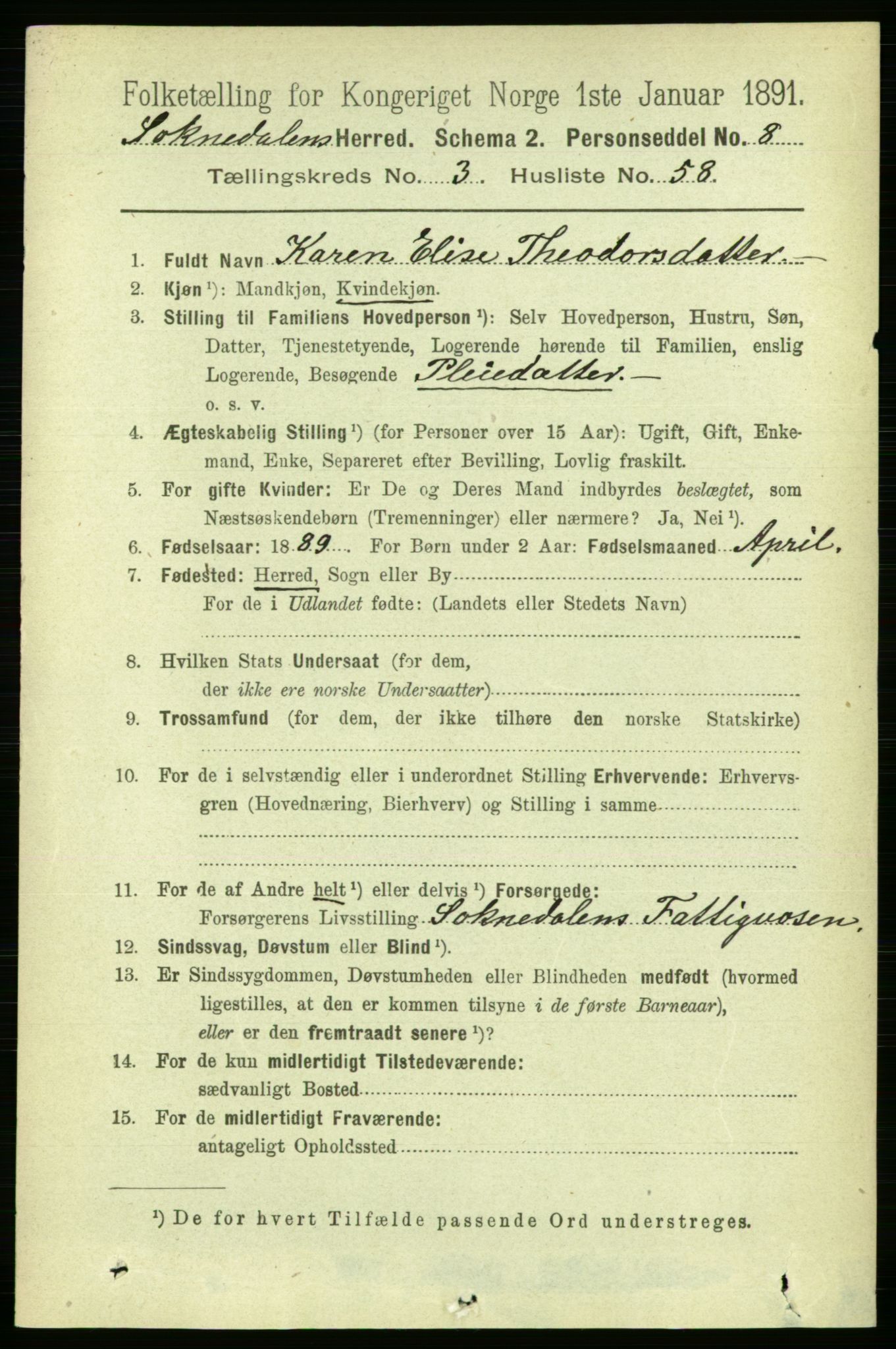 RA, 1891 census for 1649 Soknedal, 1891, p. 1523