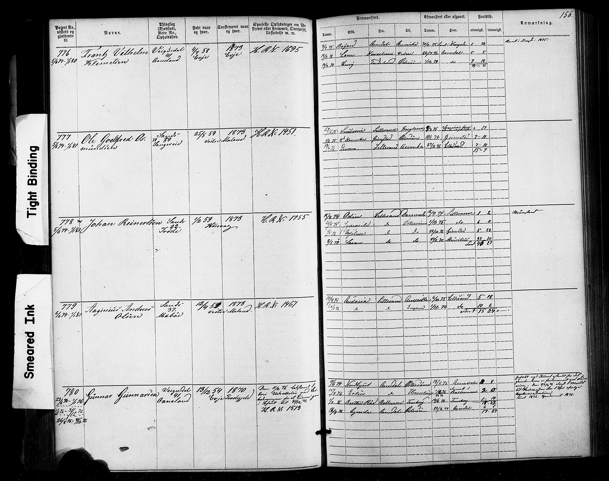 Lillesand mønstringskrets, SAK/2031-0014/F/Fa/L0002: Annotasjonsrulle nr 1-1910 med register, W-8, 1868-1891, p. 160