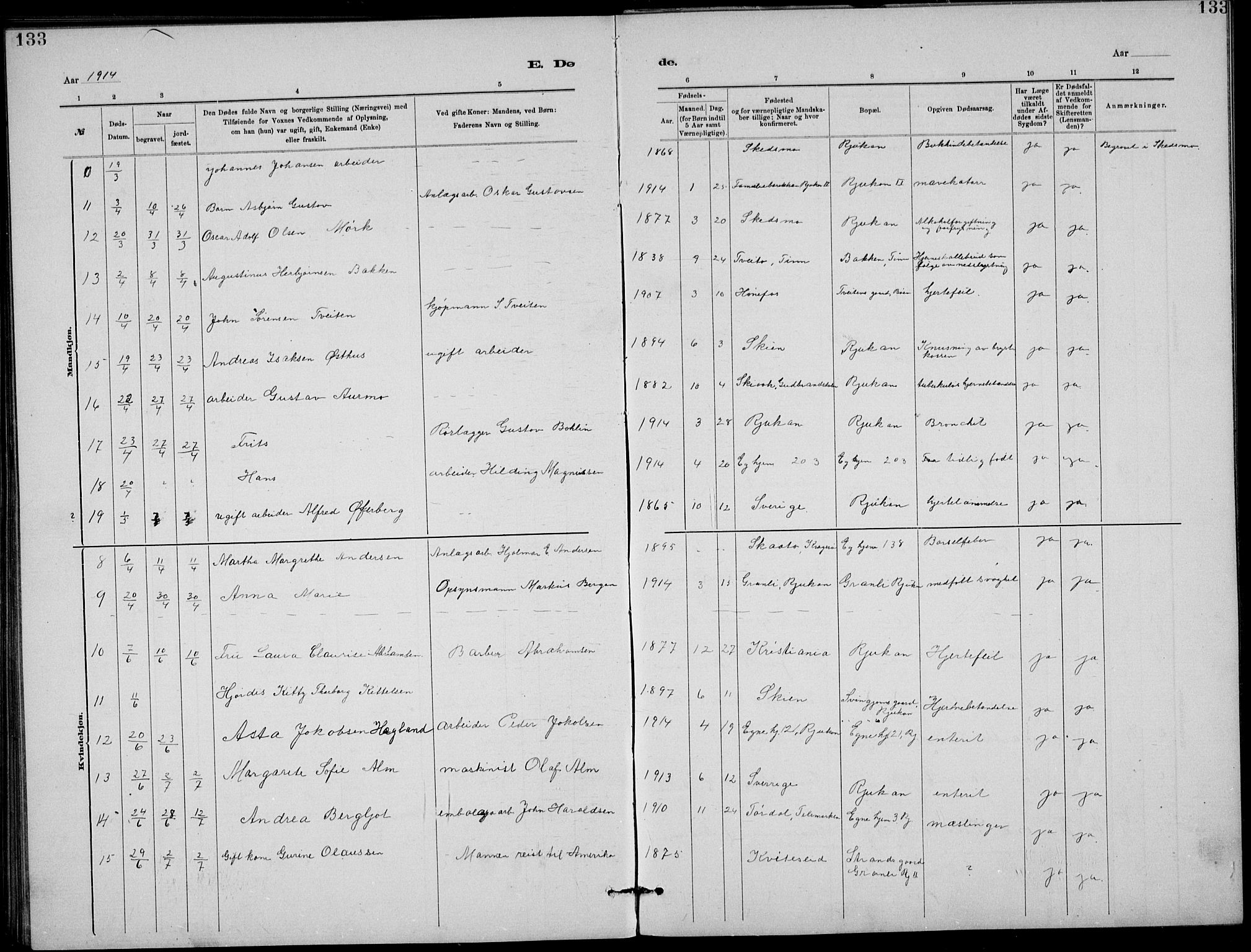 Rjukan kirkebøker, AV/SAKO-A-294/G/Ga/L0001: Parish register (copy) no. 1, 1880-1914, p. 133