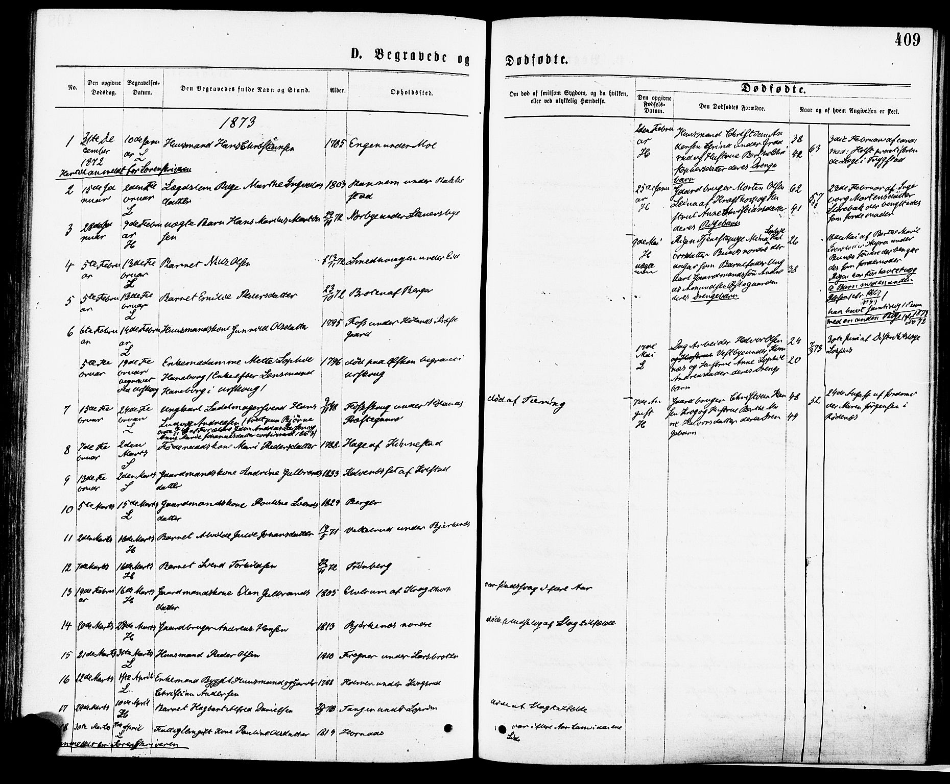 Høland prestekontor Kirkebøker, AV/SAO-A-10346a/F/Fa/L0012.a: Parish register (official) no. I 12A, 1869-1879, p. 409