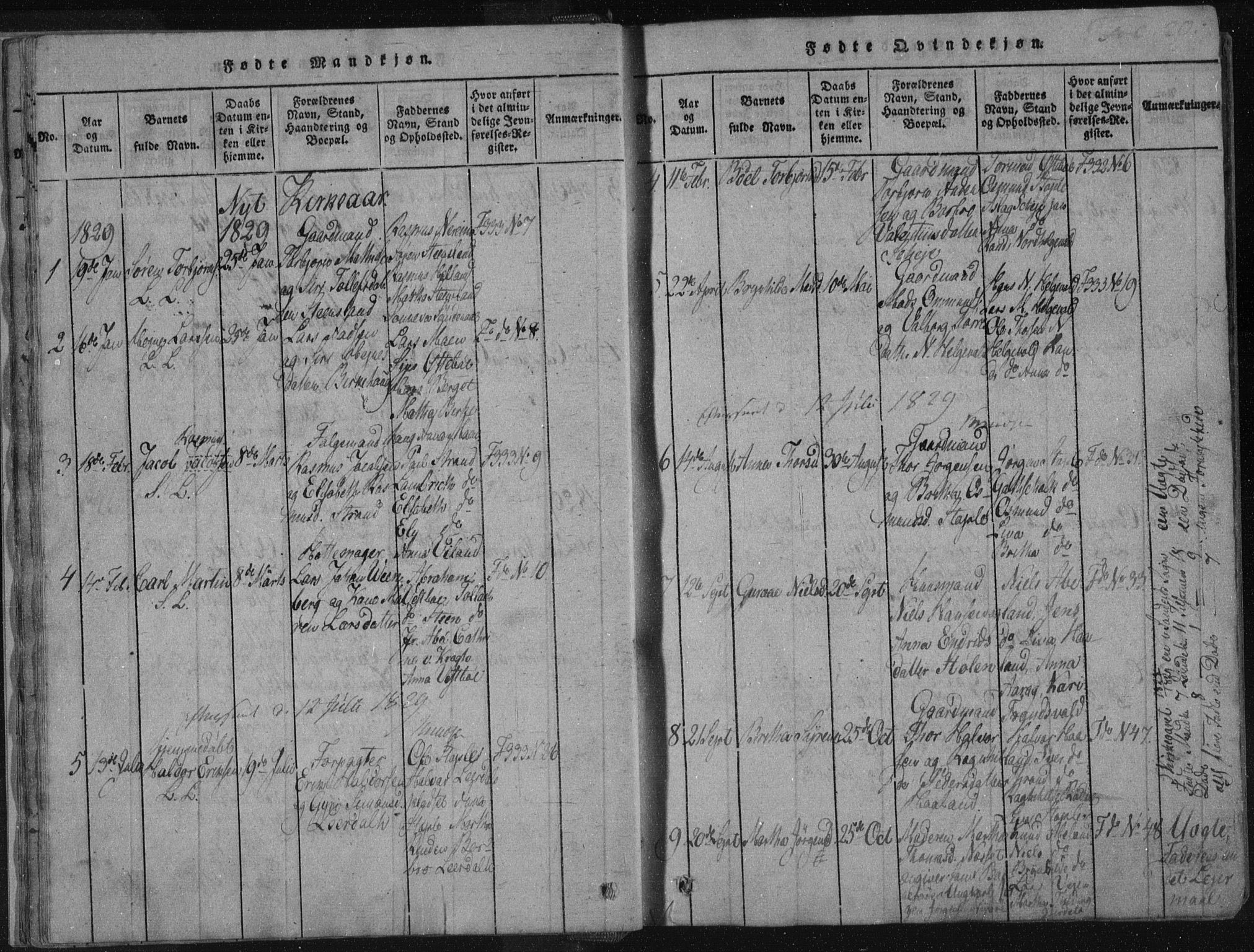 Vikedal sokneprestkontor, AV/SAST-A-101840/01/IV: Parish register (official) no. A 4, 1816-1850, p. 20