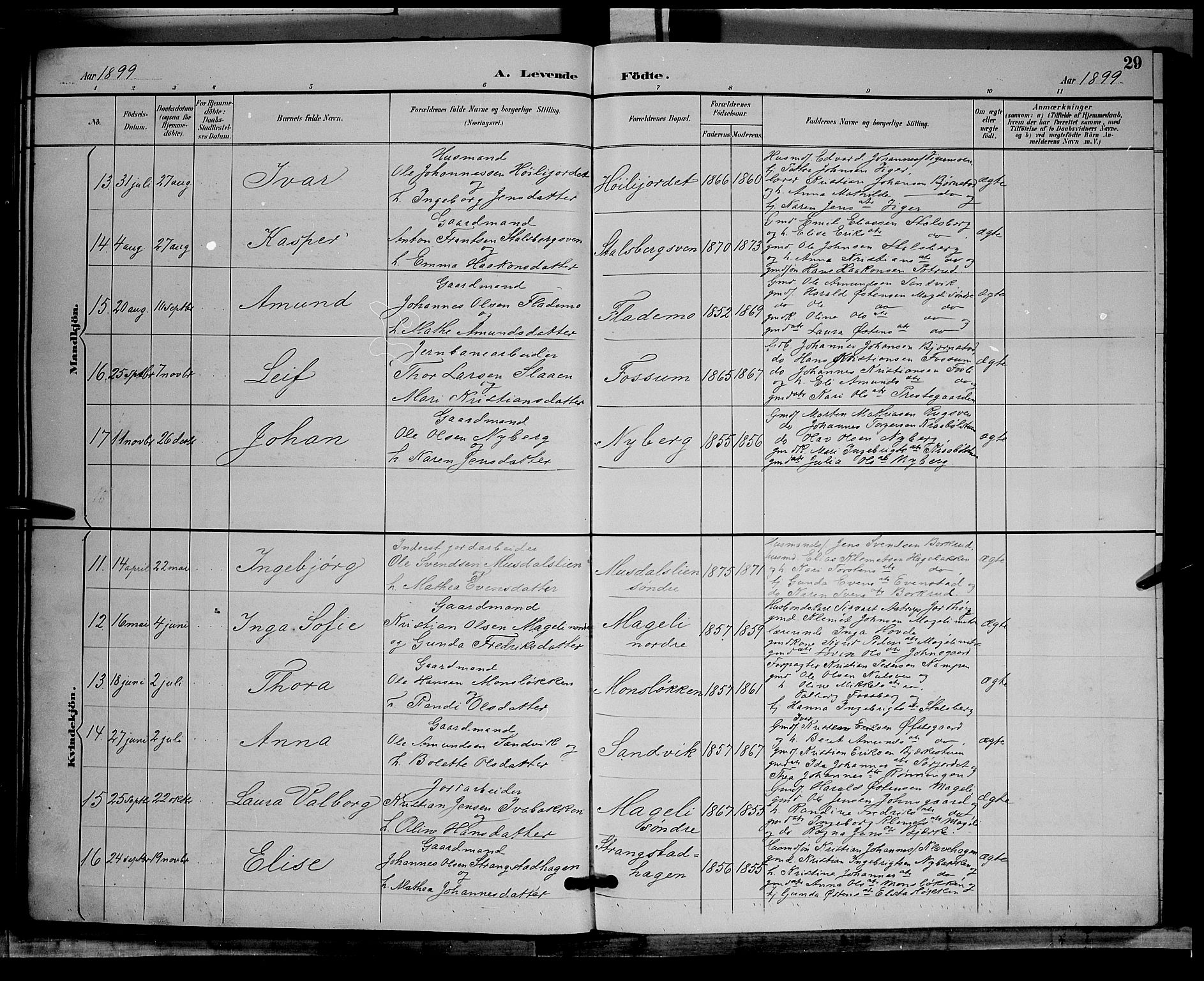 Øyer prestekontor, AV/SAH-PREST-084/H/Ha/Hab/L0004: Parish register (copy) no. 4, 1894-1905, p. 29