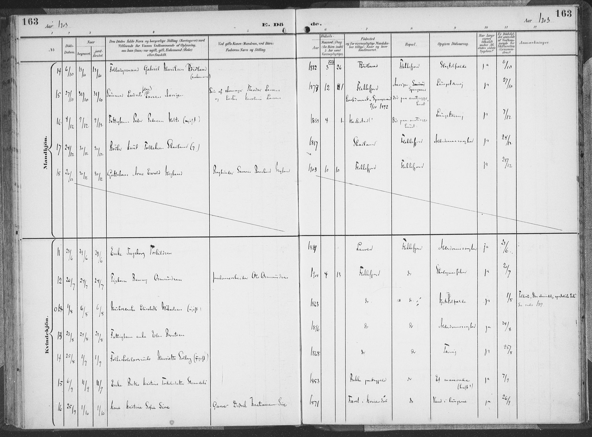 Flekkefjord sokneprestkontor, SAK/1111-0012/F/Fa/Faa/L0002: Parish register (official) no. A 2, 1900-1912, p. 163