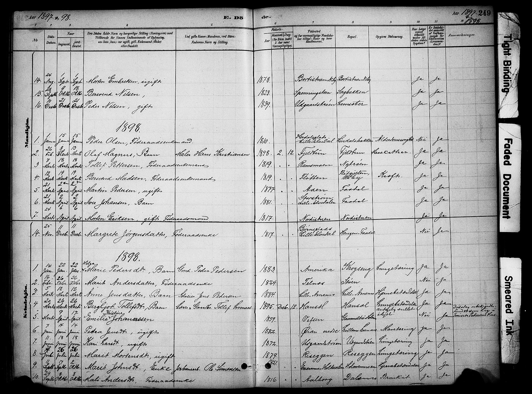 Tynset prestekontor, SAH/PREST-058/H/Ha/Hab/L0006: Parish register (copy) no. 6, 1880-1899, p. 249